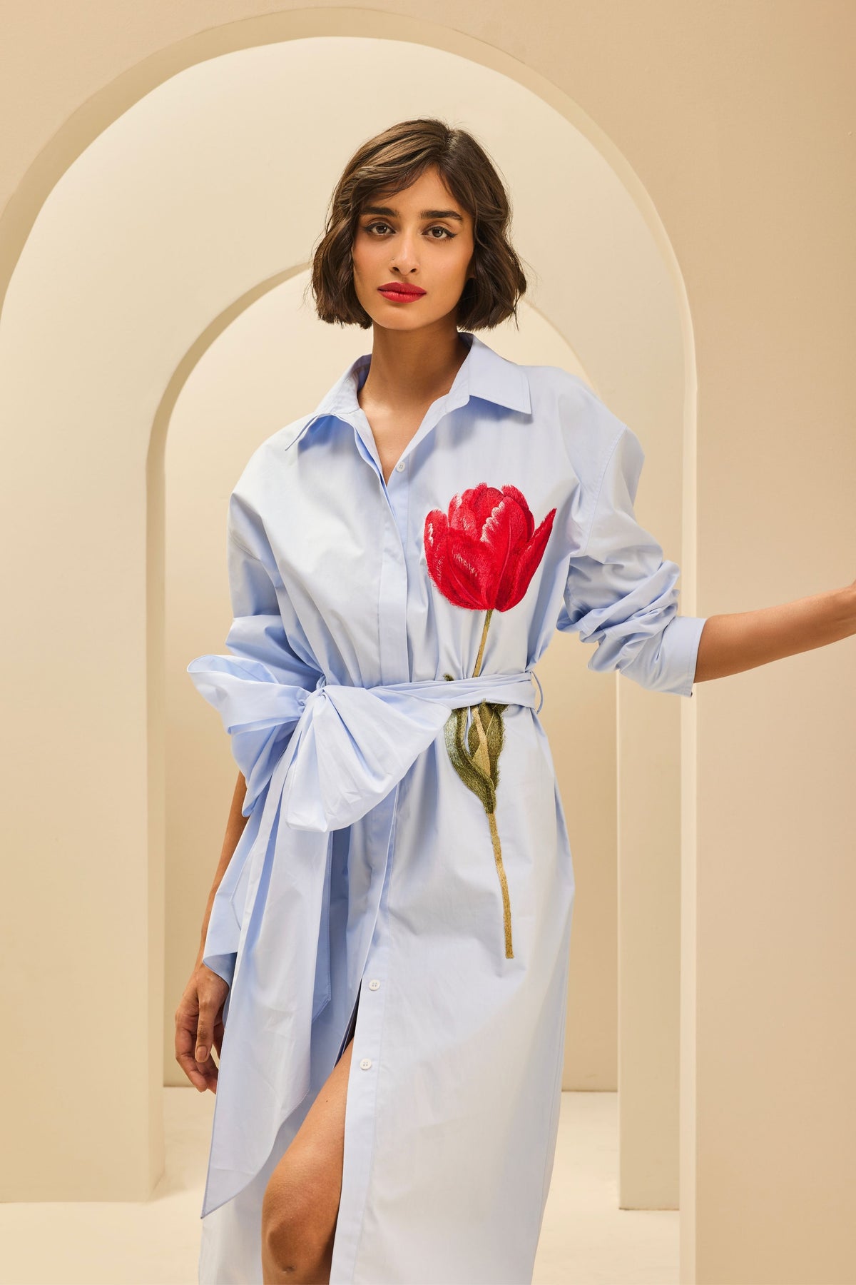 Tea Length Shirt Dress