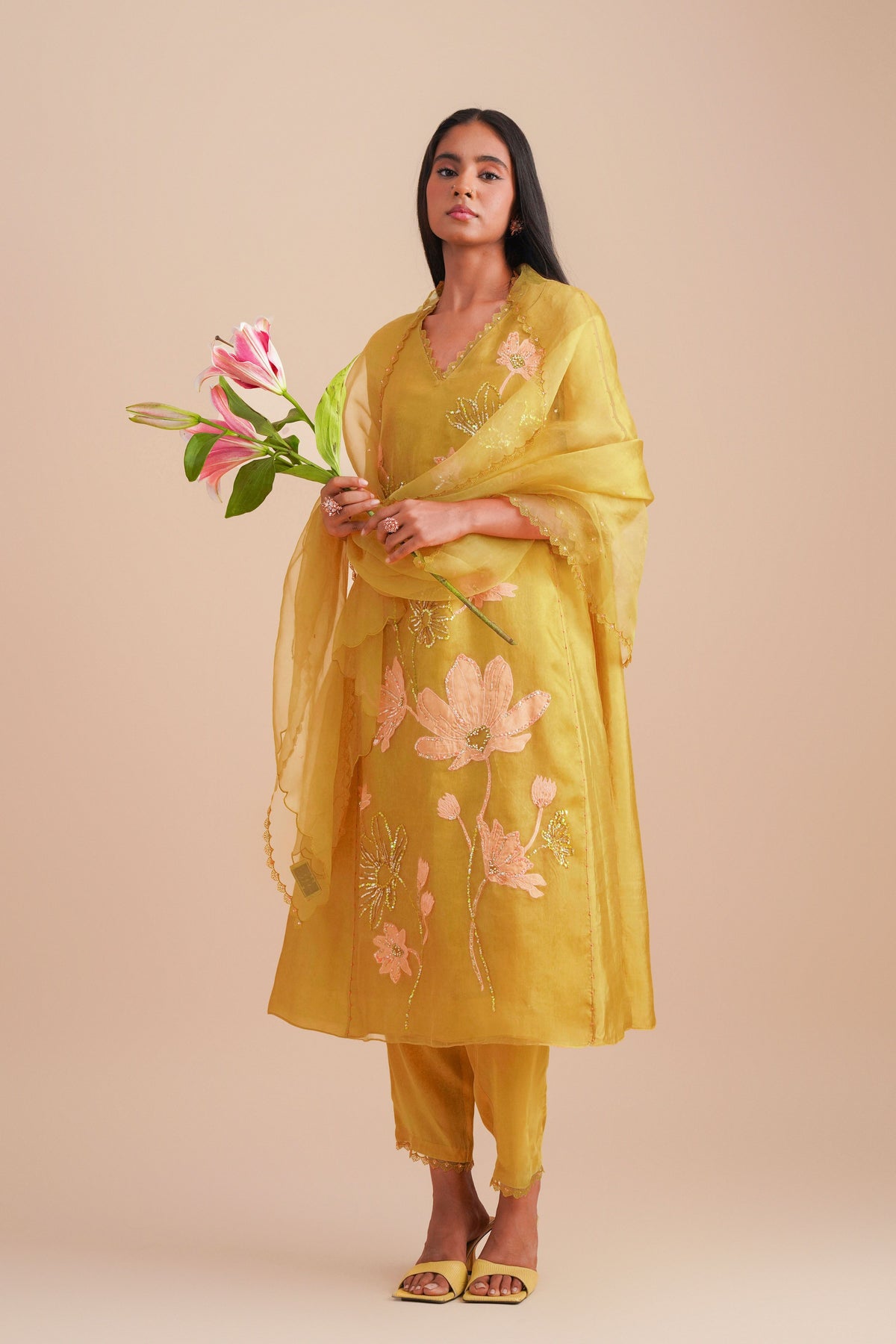 Daffodil Organza Dupatta