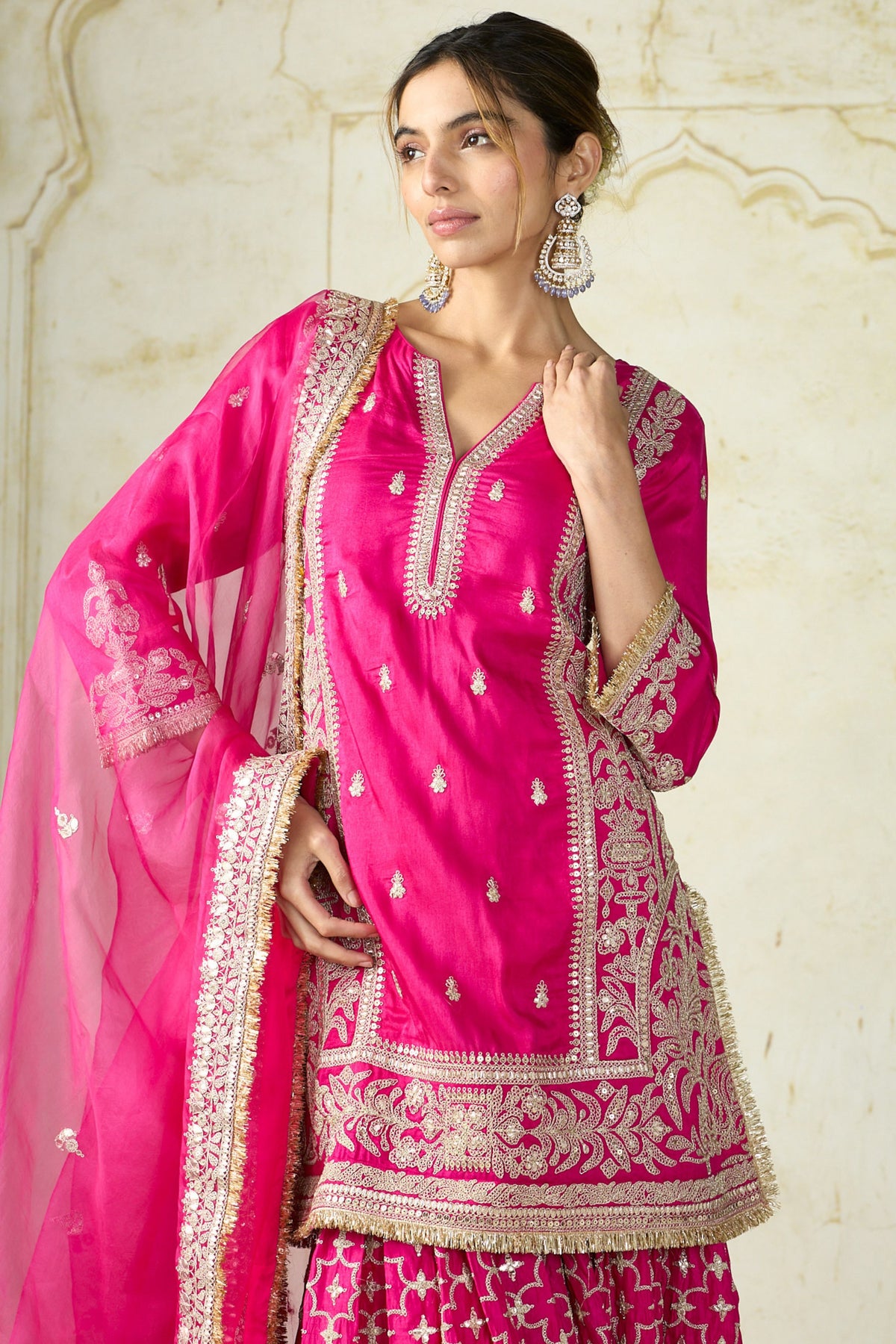 Rani Mumtaz Sharara Set