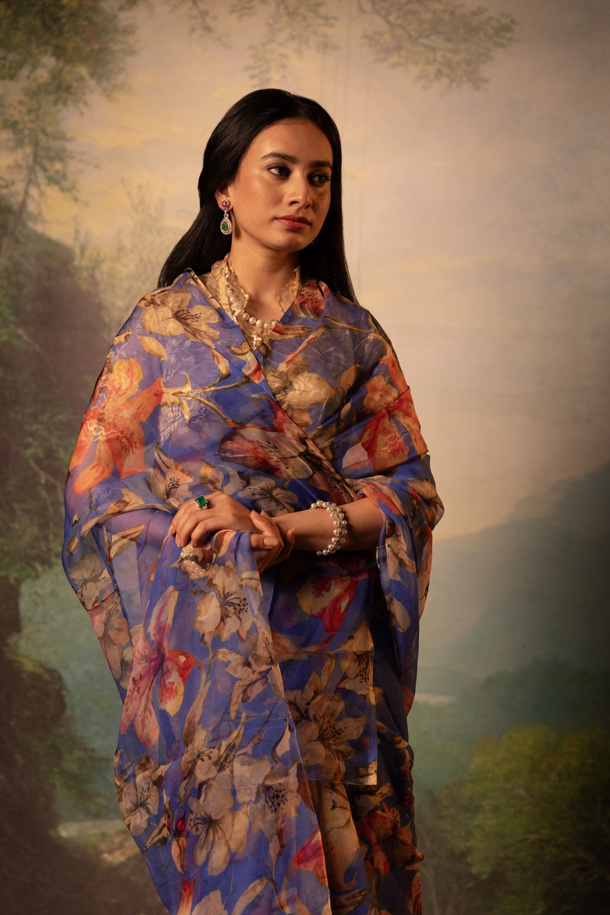 Ourmila Printed French Chiffon Saree