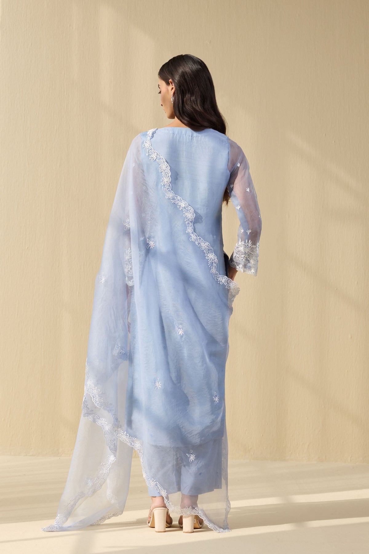 Powder blue  Embroidered Organza Suit