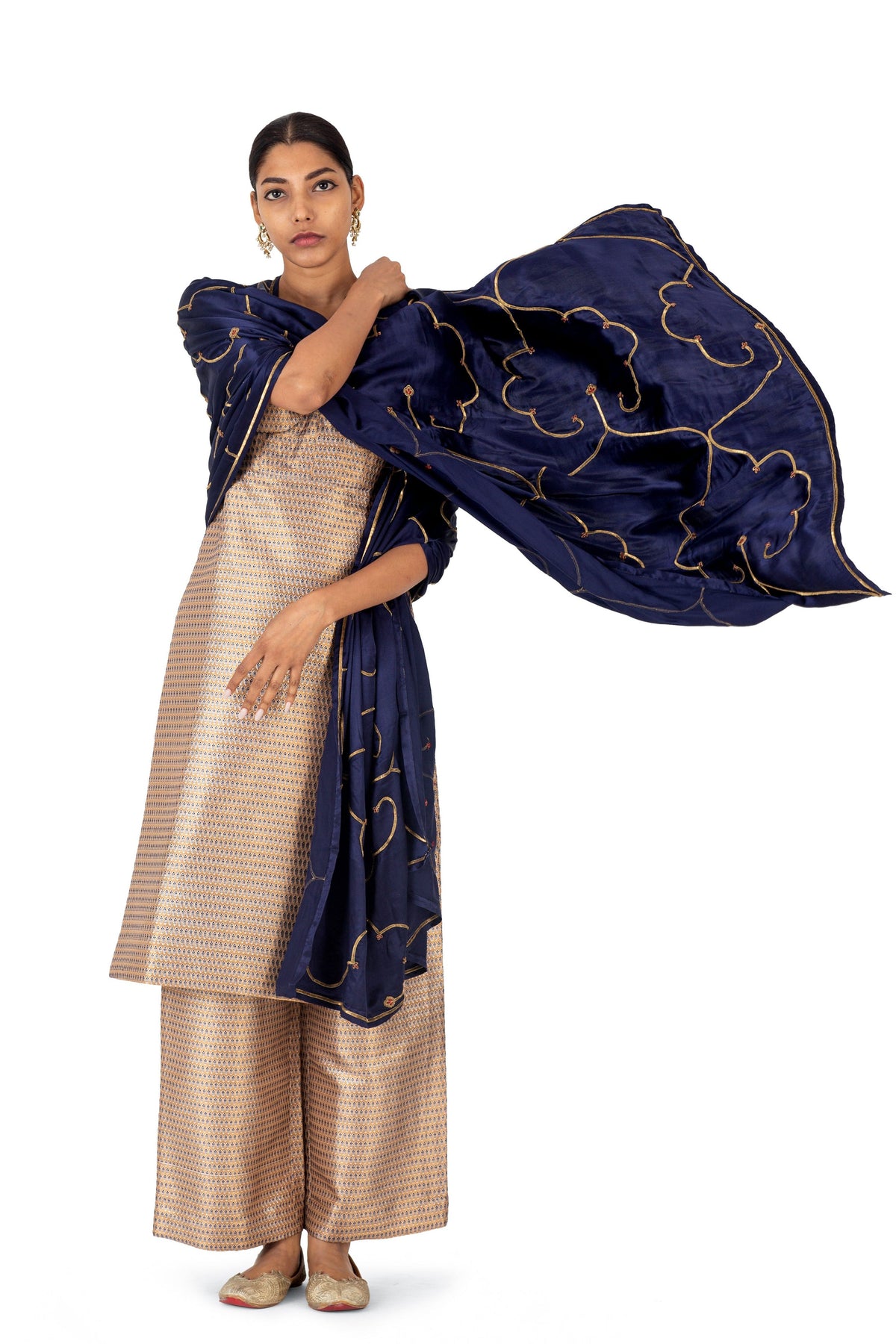 Baina Brocase Kurta and Pants