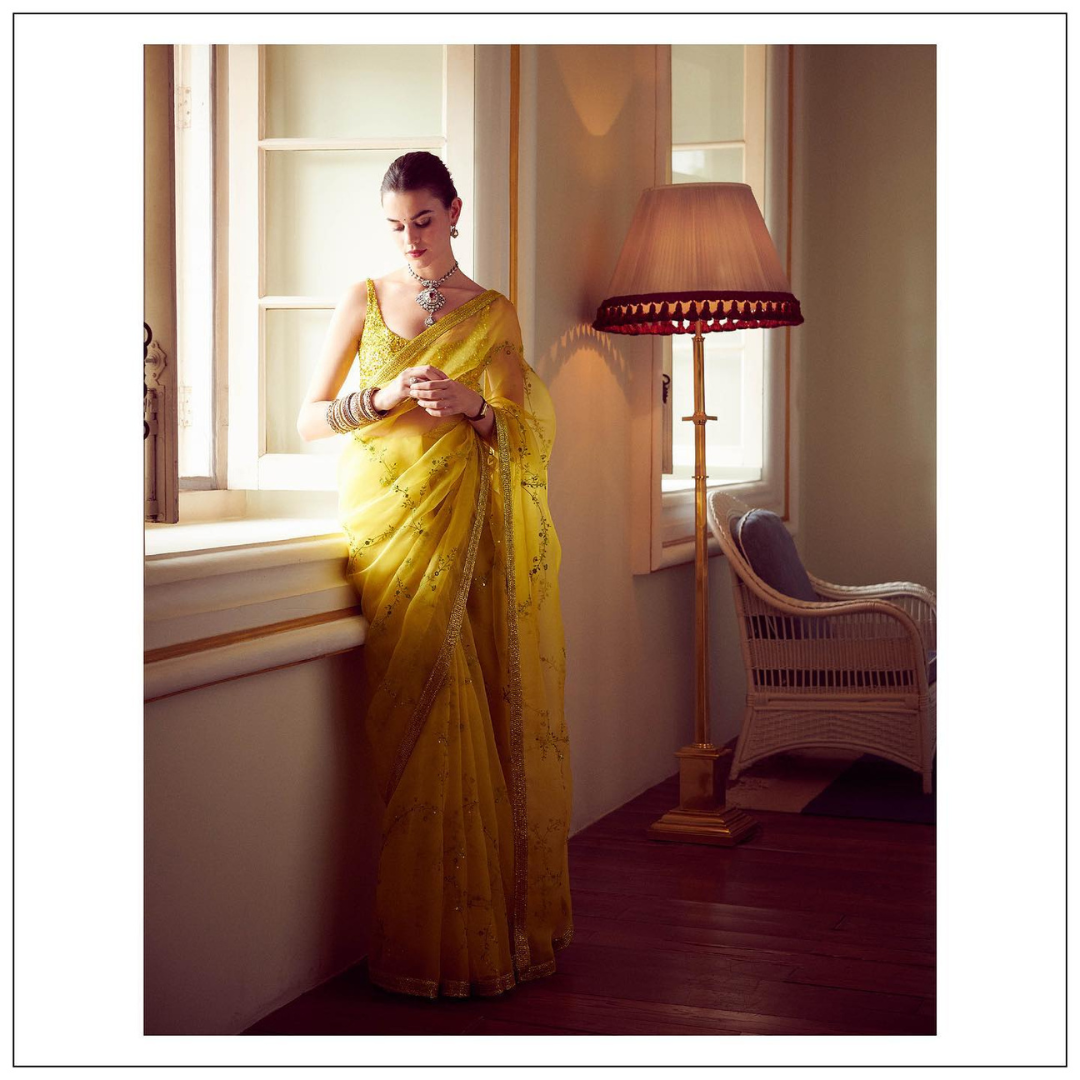 Niloufer Saree in Yellow