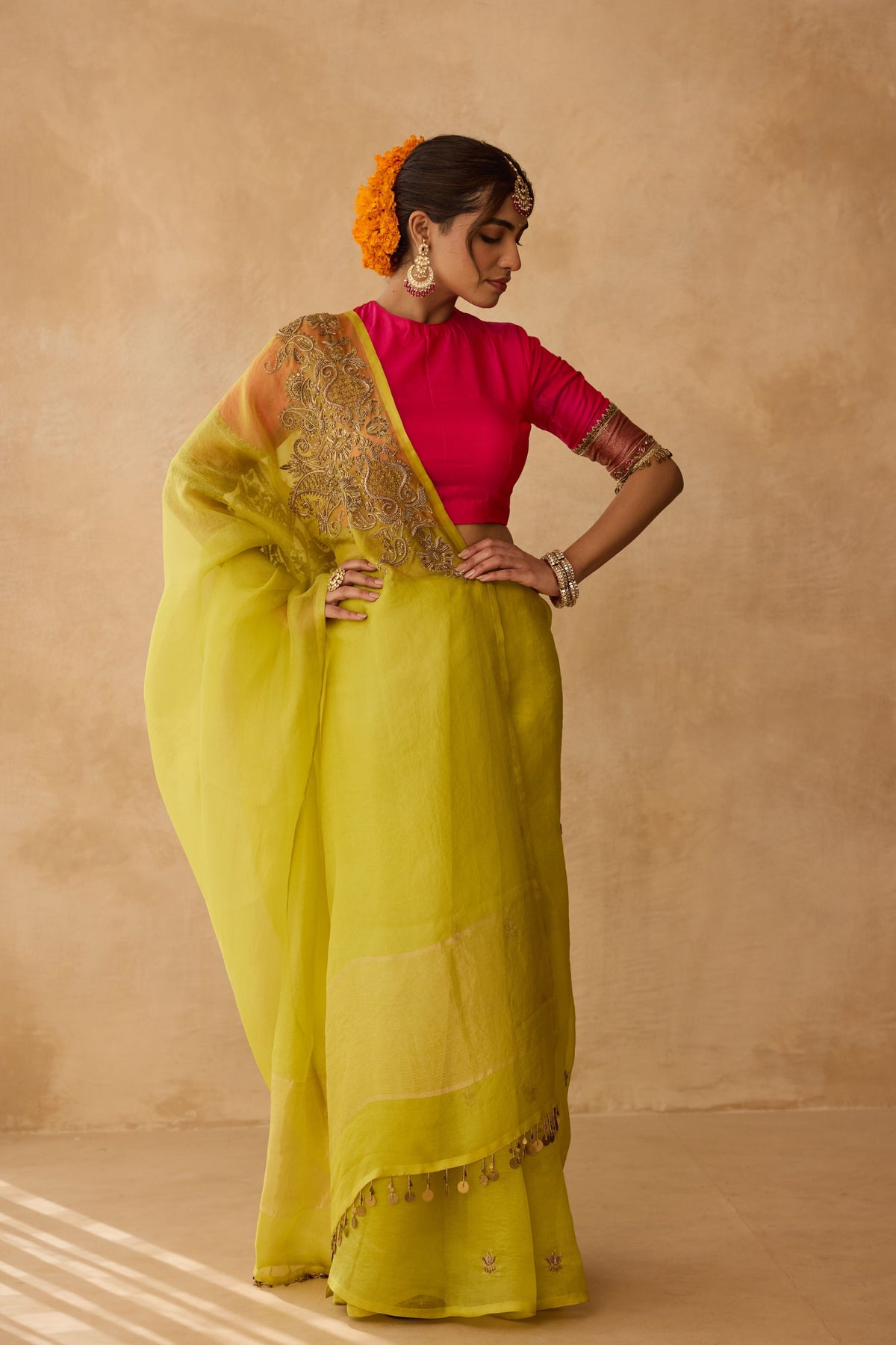 Jugni Sheer Saree