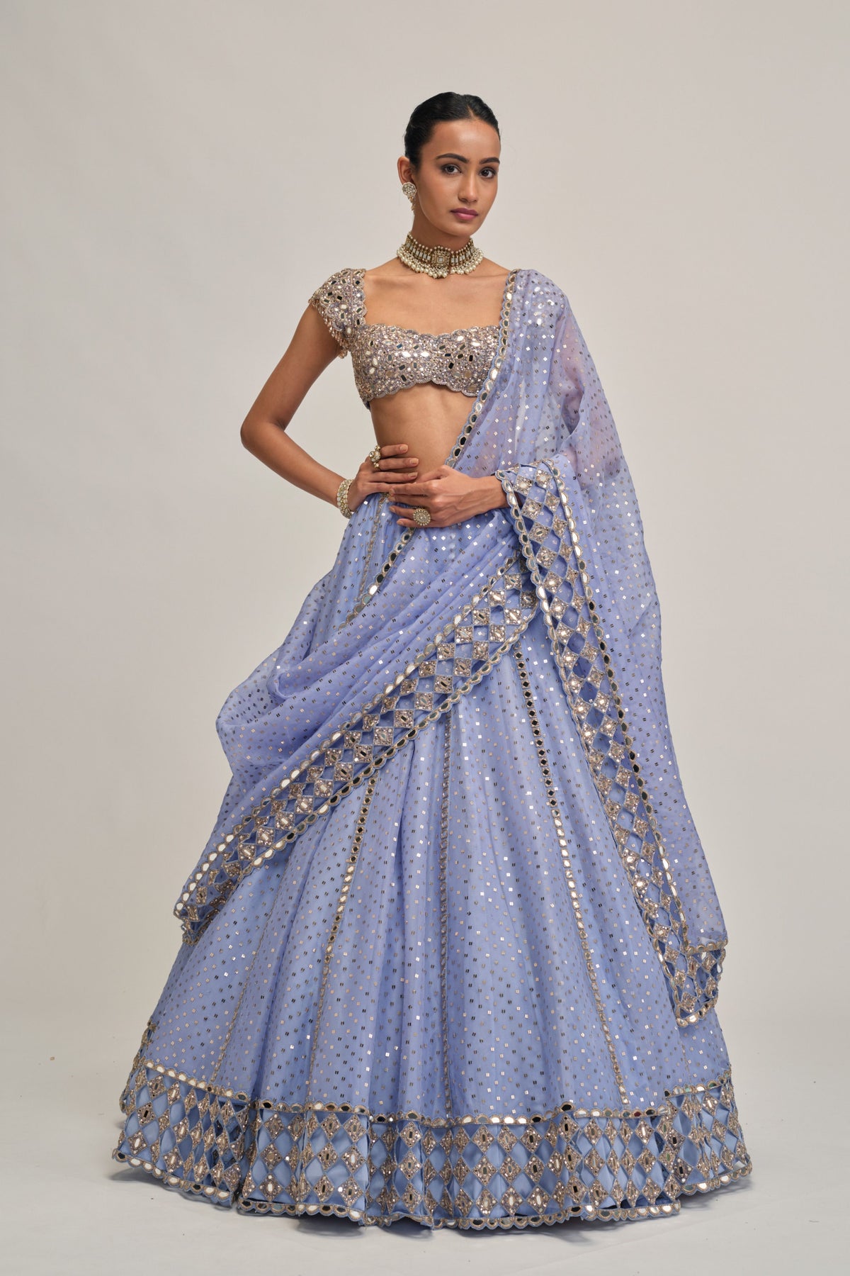 Dew Embroidered Lehenga Set