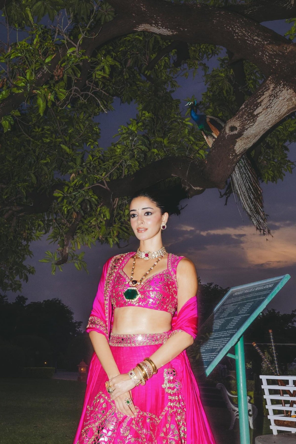 Ananya Panday in Punit Balana
