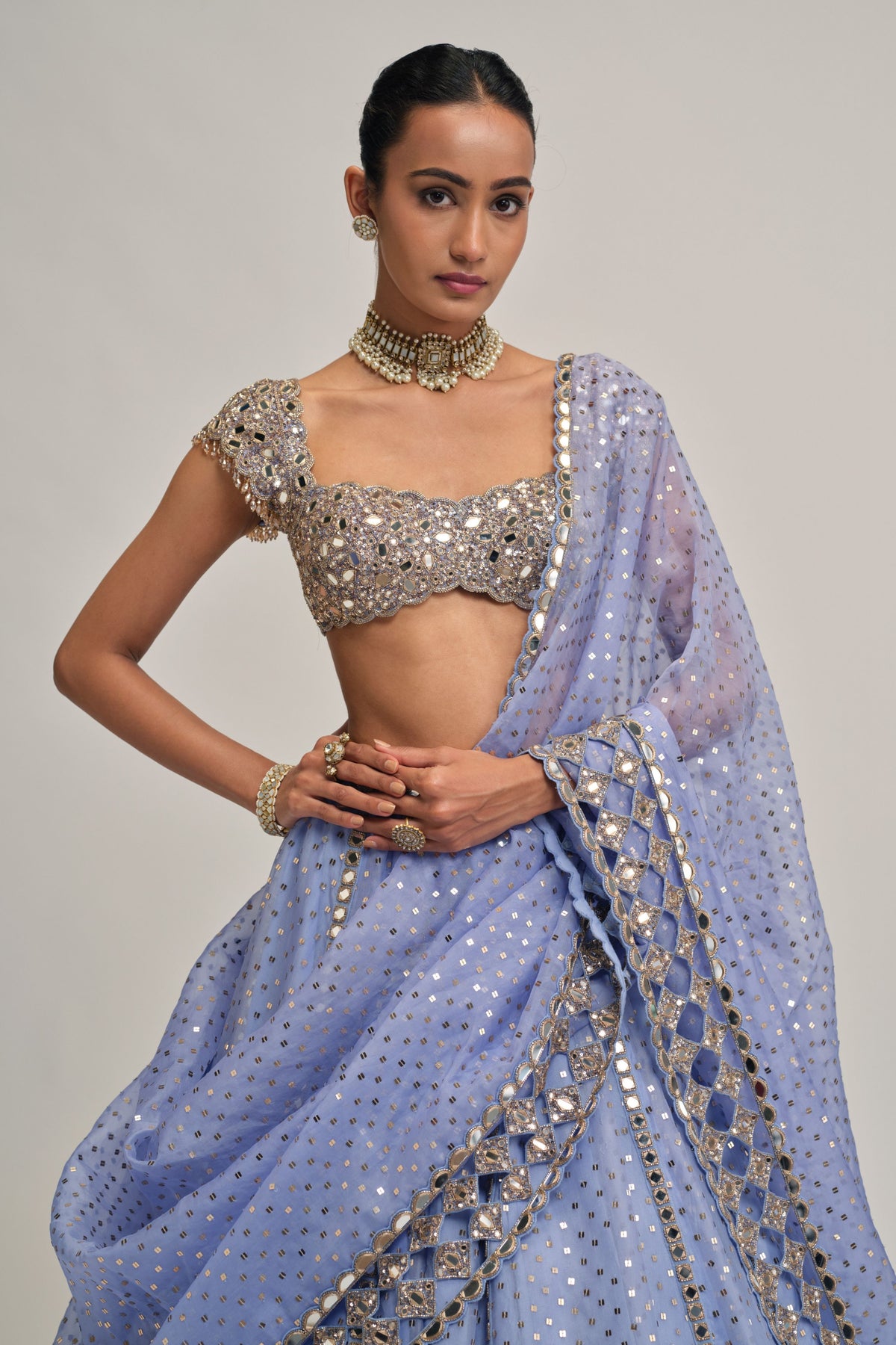 Dew Embroidered Lehenga Set