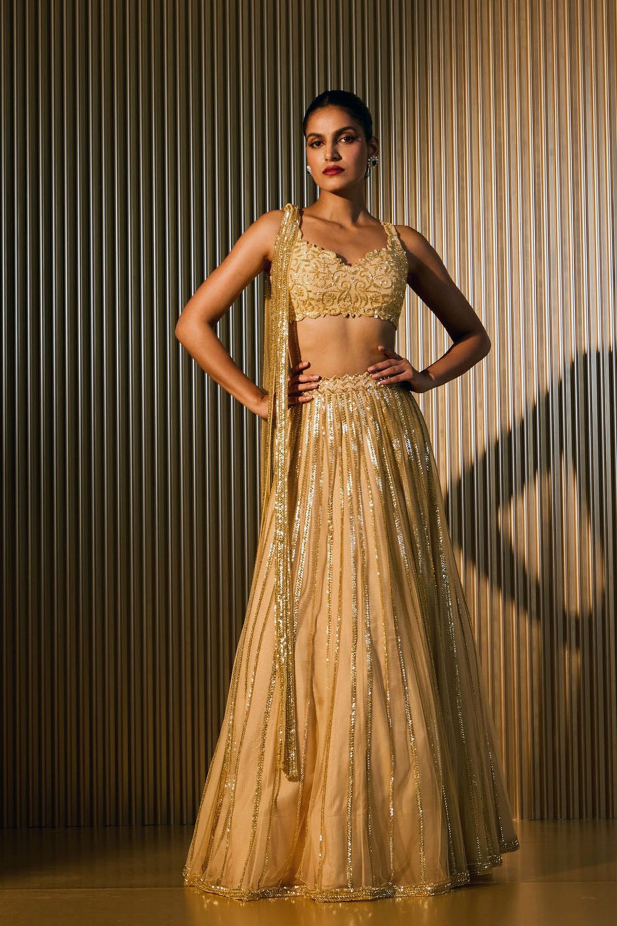 Golden Mist Lehenga Set