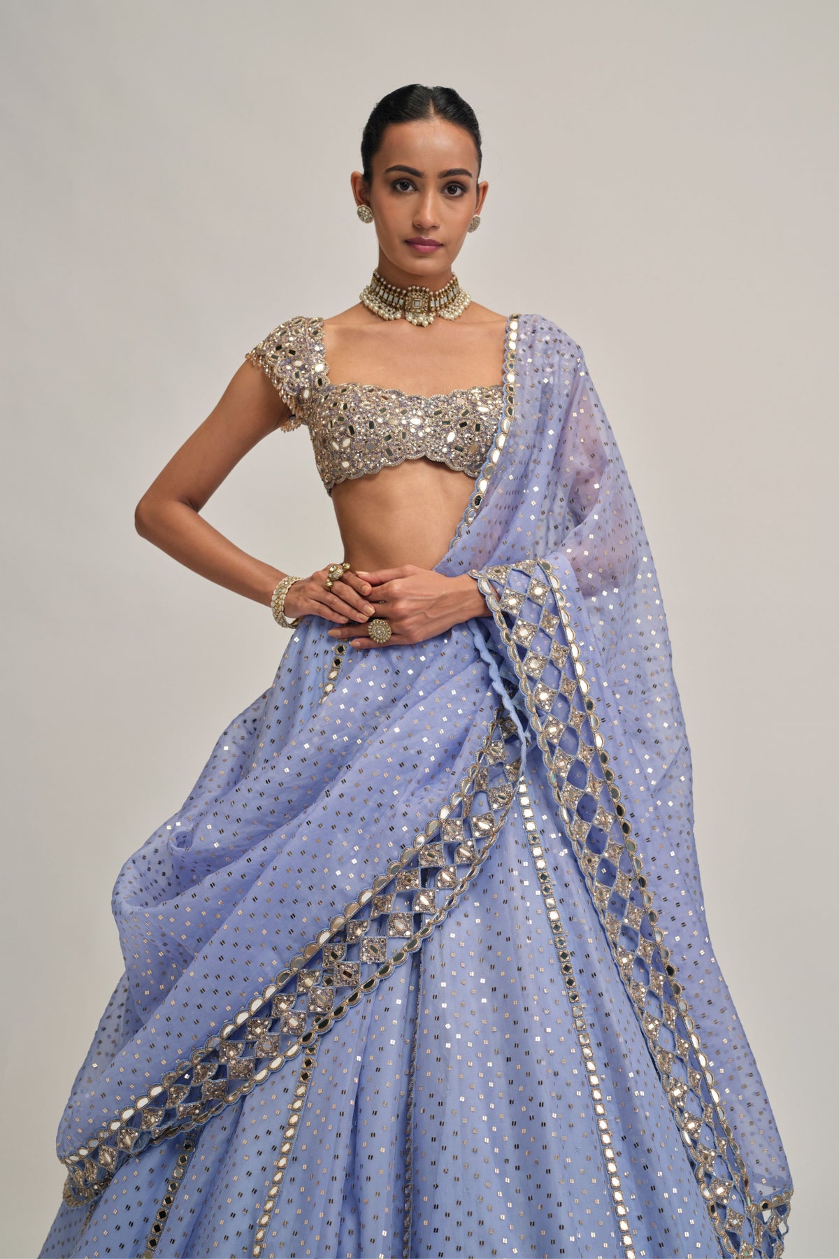 Dew Embroidered Lehenga Set