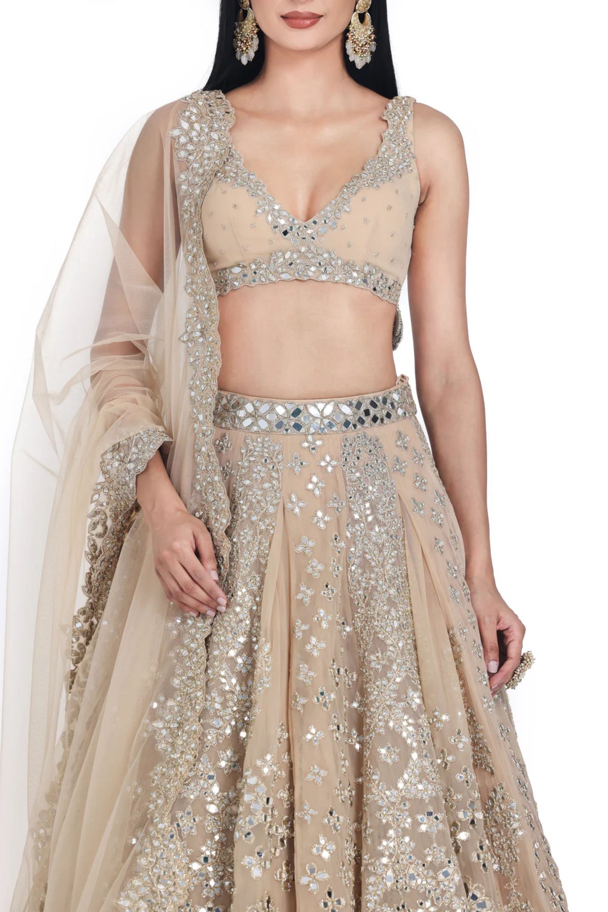 Blush Beige Lehenga Set