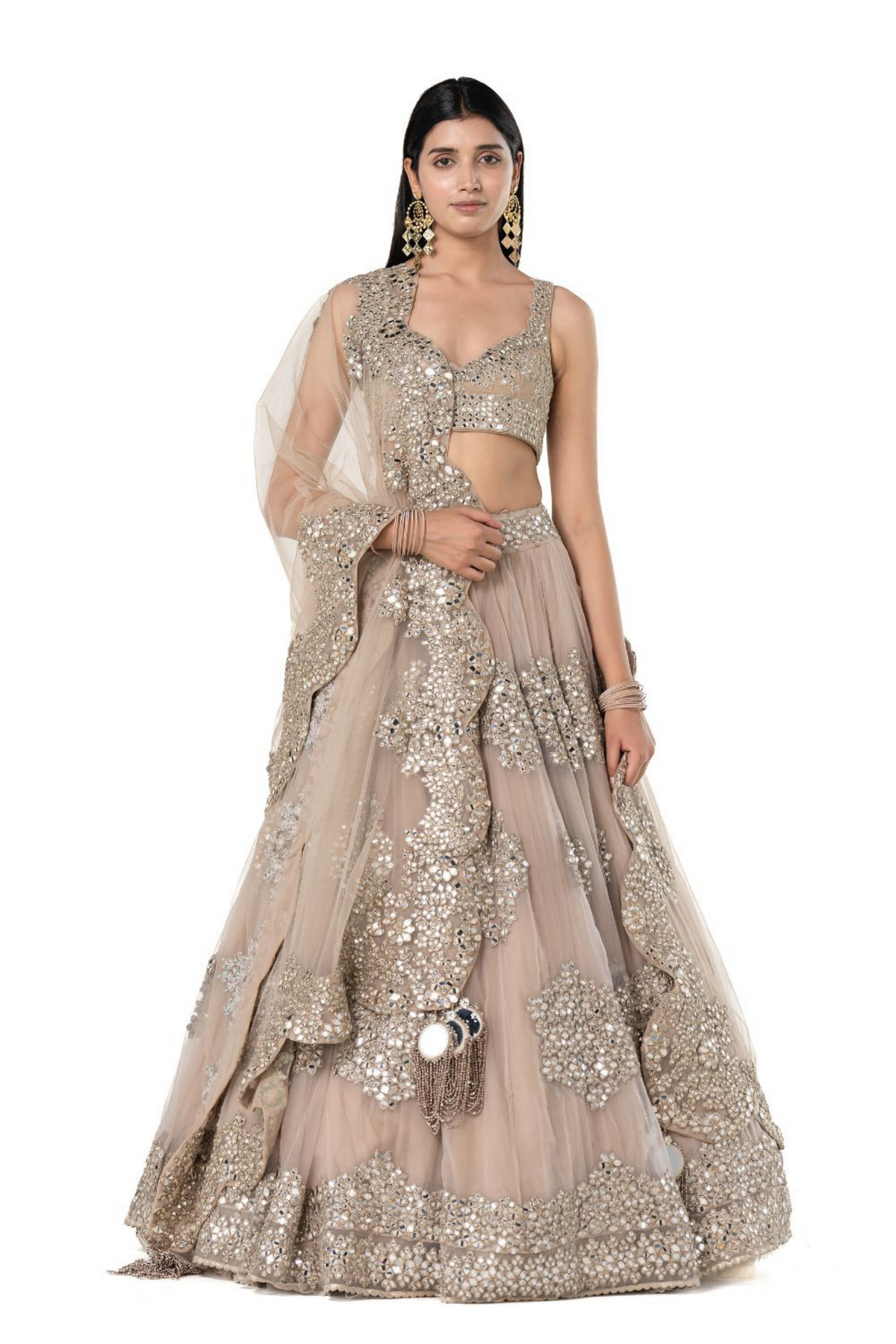 Organza Lehenga Set in Moon Grey Shade