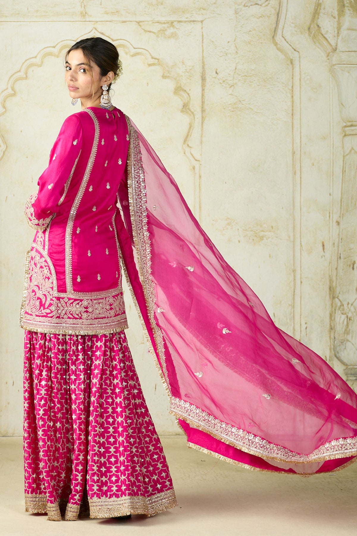 Rani Mumtaz Sharara Set
