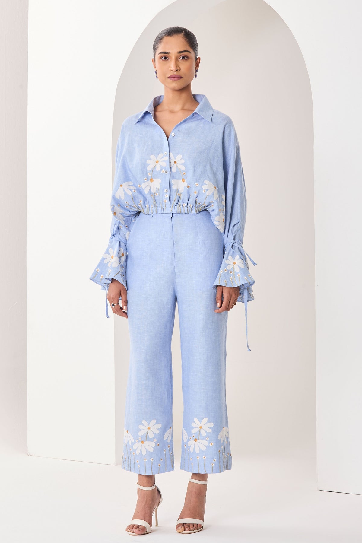 Iris Co-ordinate Set