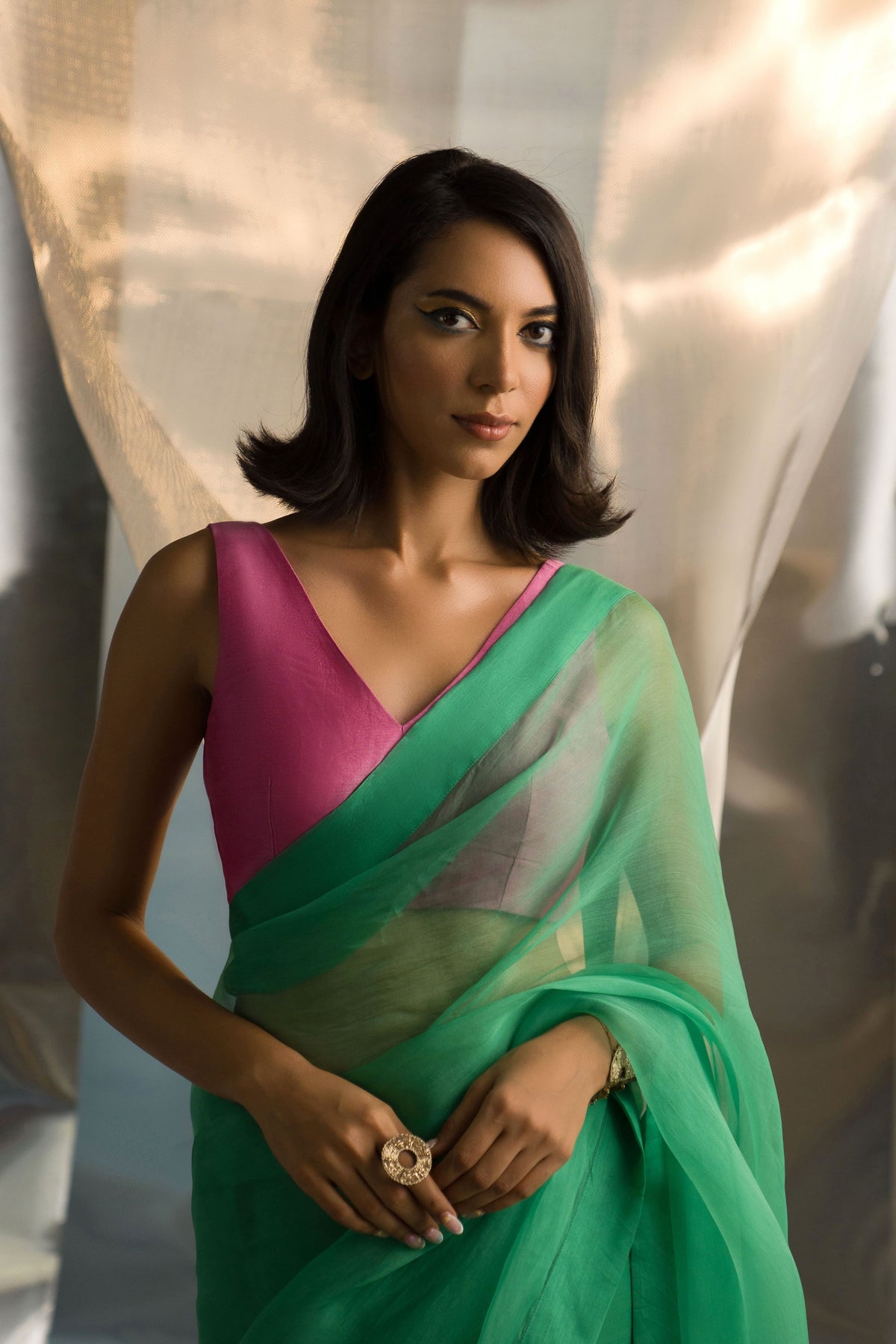 Organza Saree Sleeveless Blouse Set