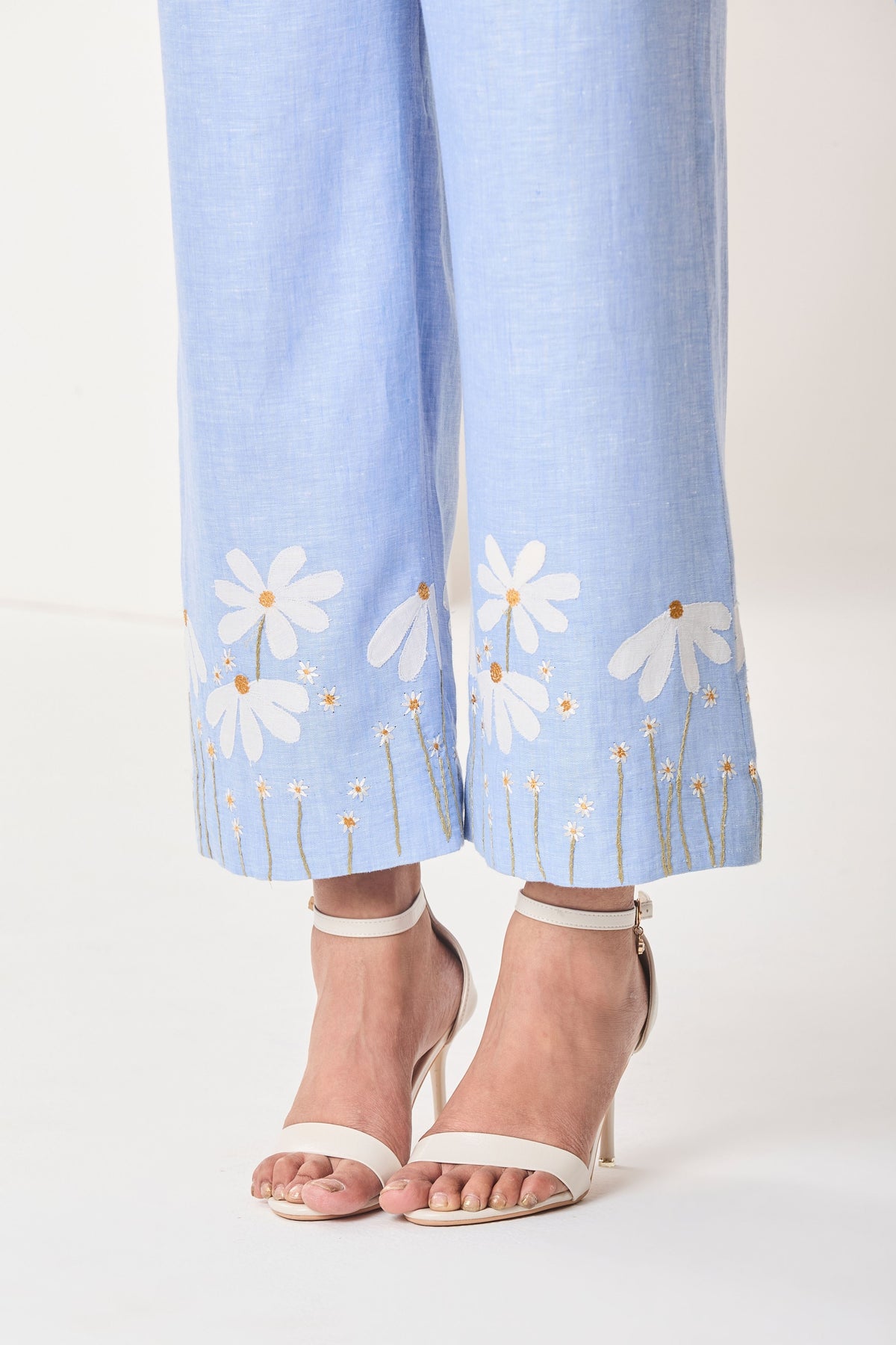 Iris Co-ordinate Set