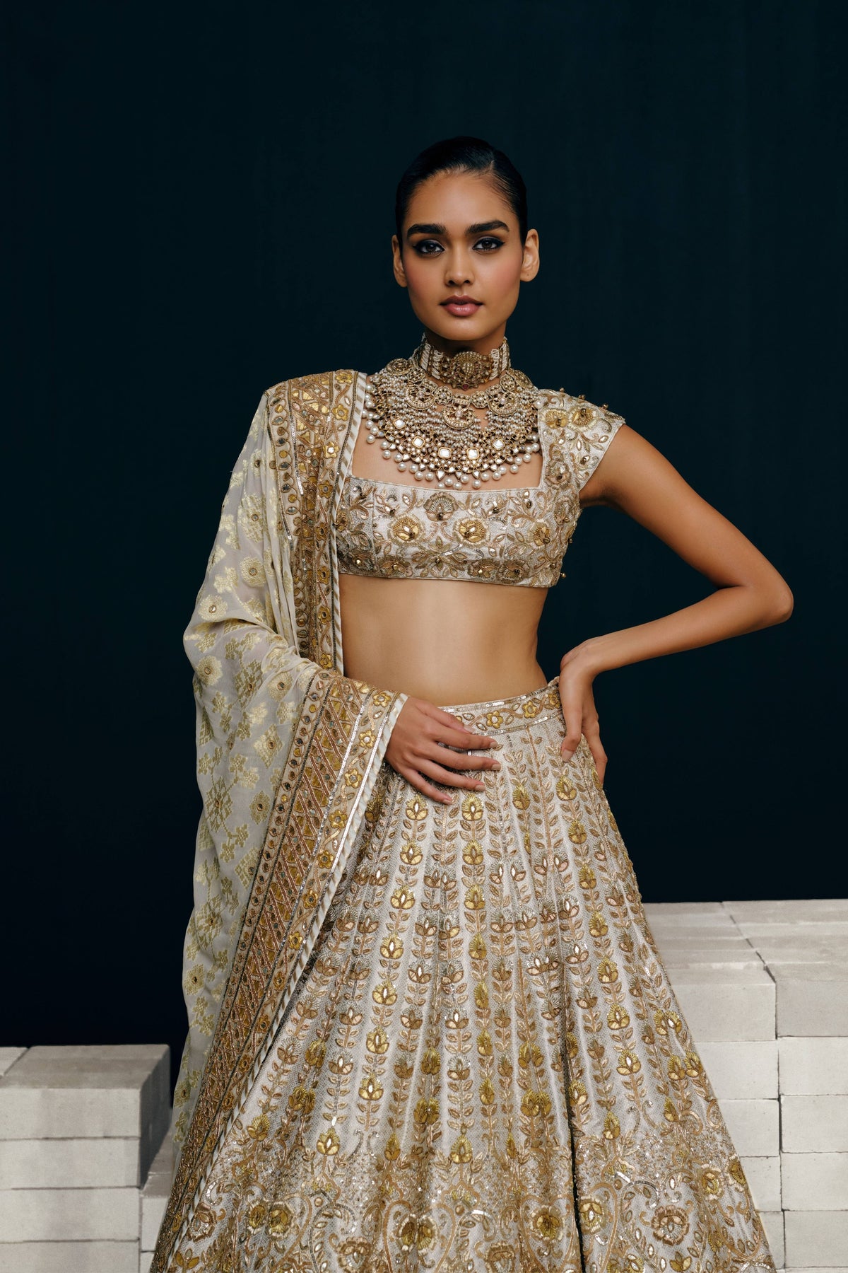 Revati Lehenga Set