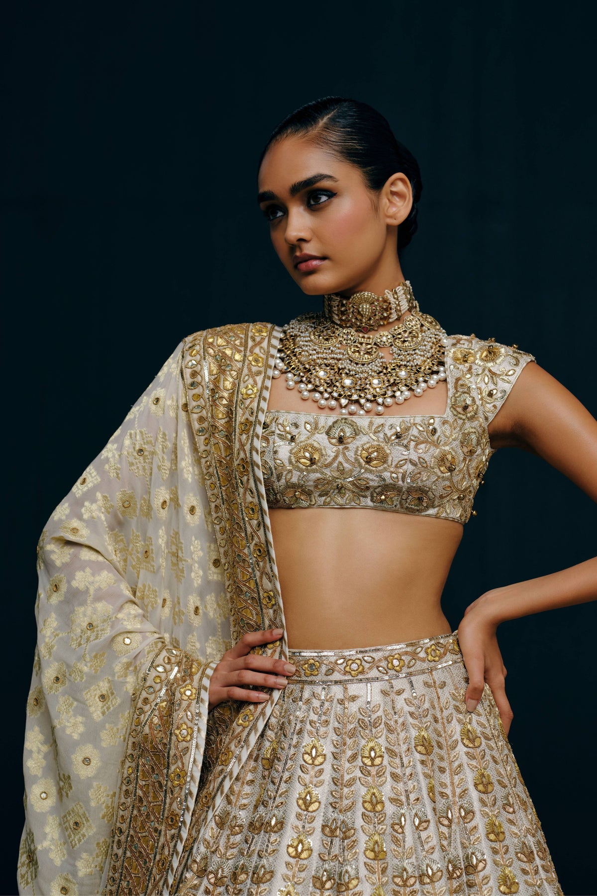 Revati Lehenga Set