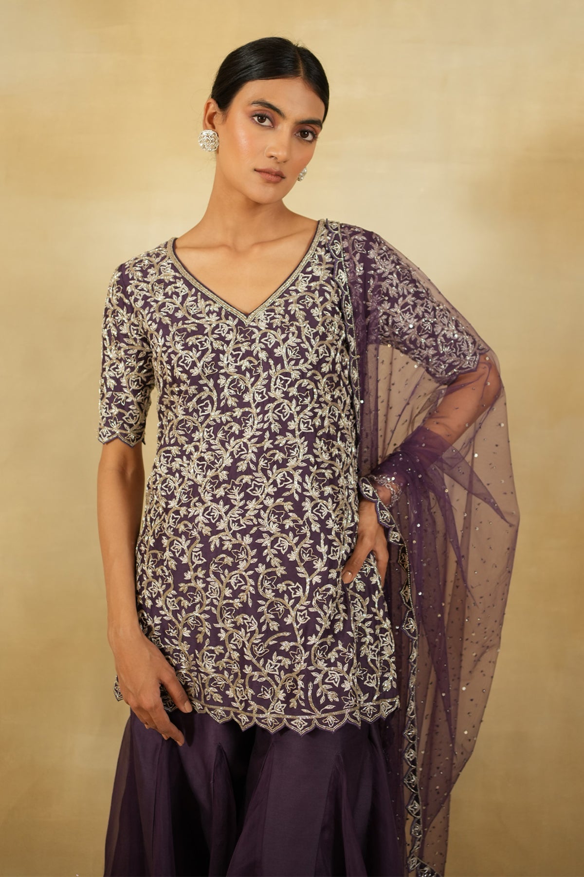 Jamuni Luna Sharara Set