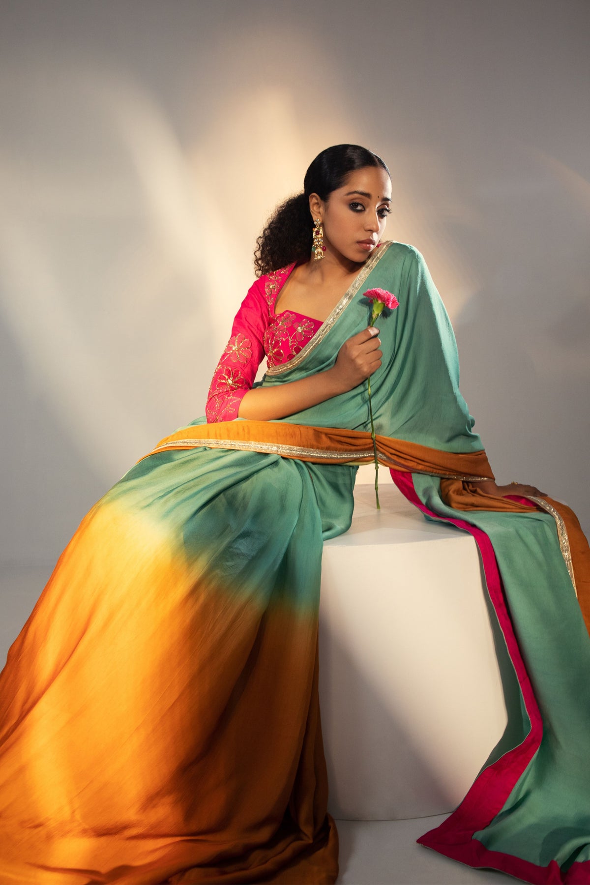 Ombre Saree with 3D Motifs