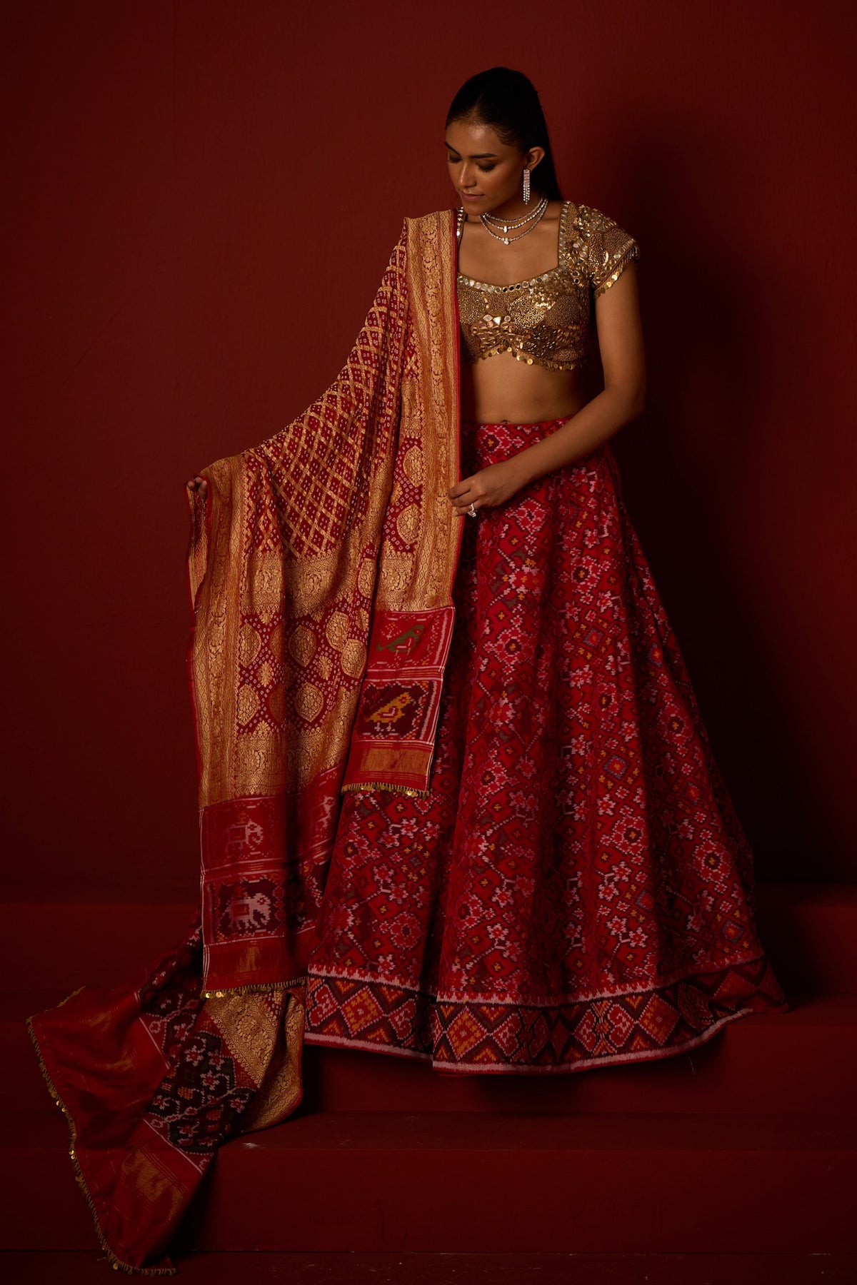 Bandhani Dupatta With Patola Border