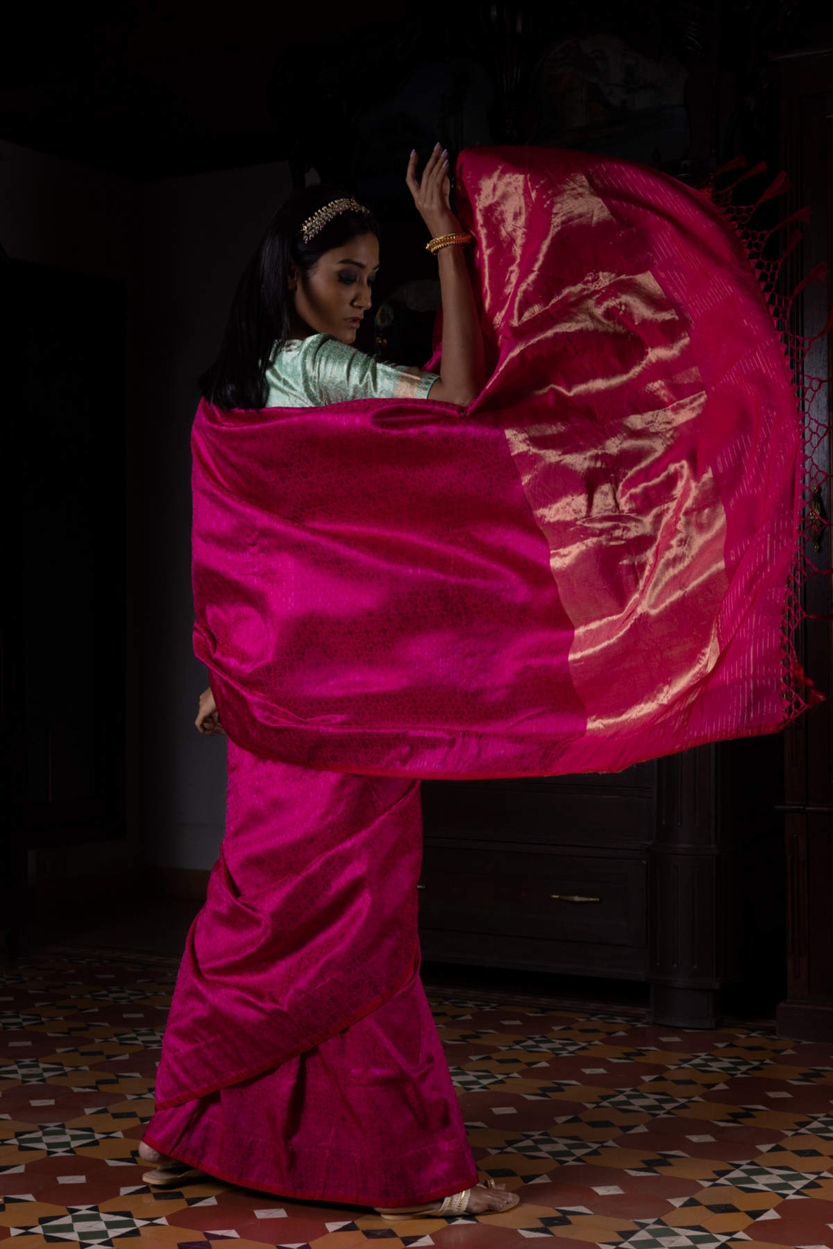 Akriti Rani Tanchoi Benarasi Handloom Sari