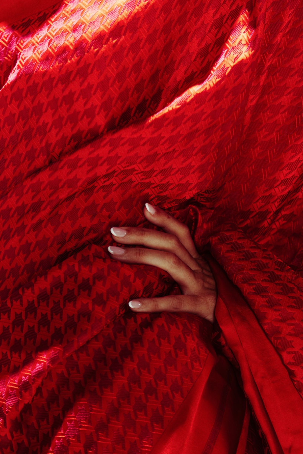 The Red Snapper Saree