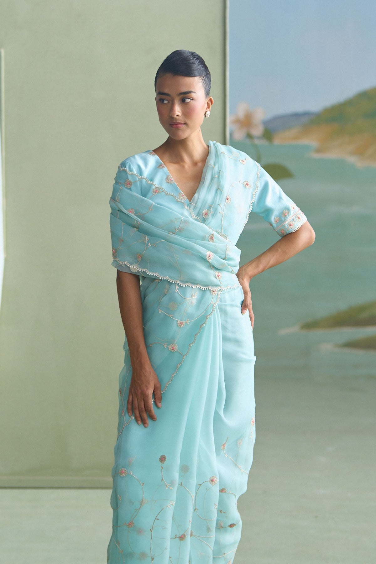 Clara Saree Set