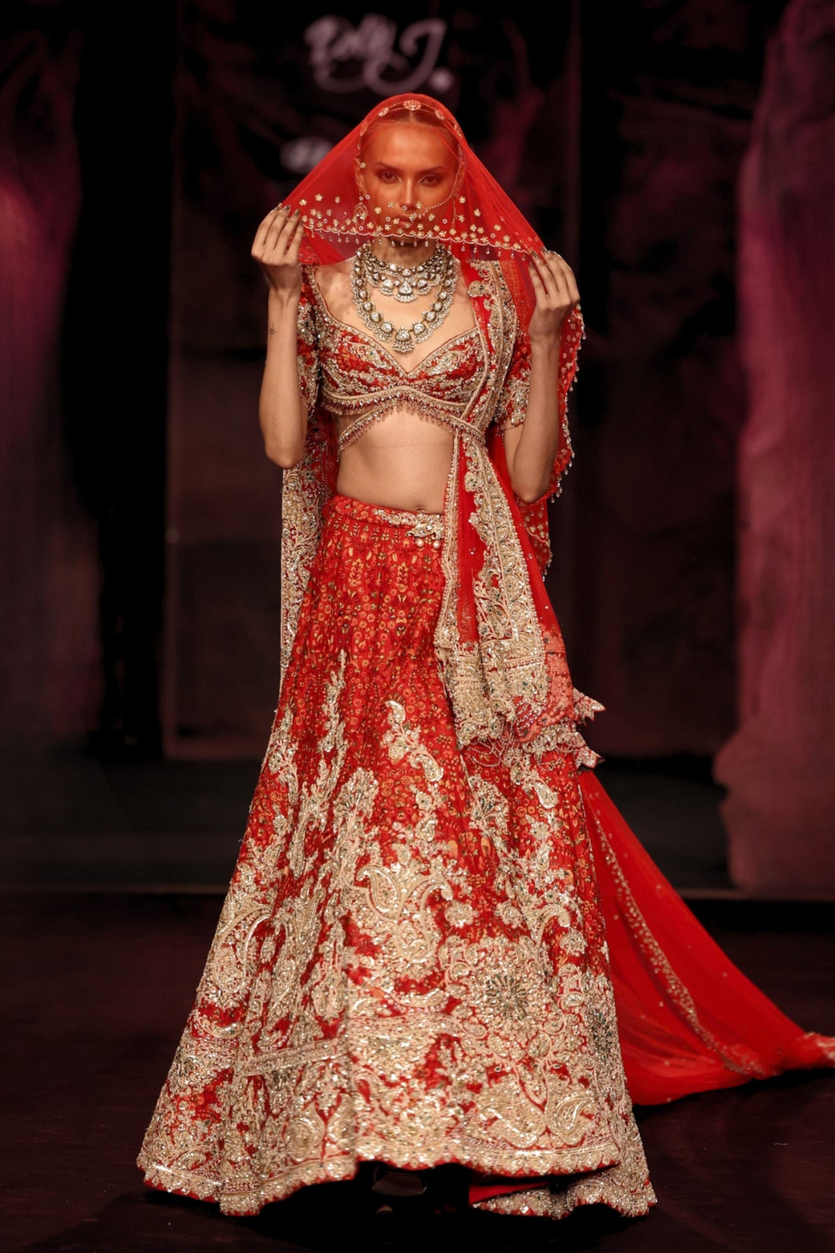 Kashika Lehenga Set