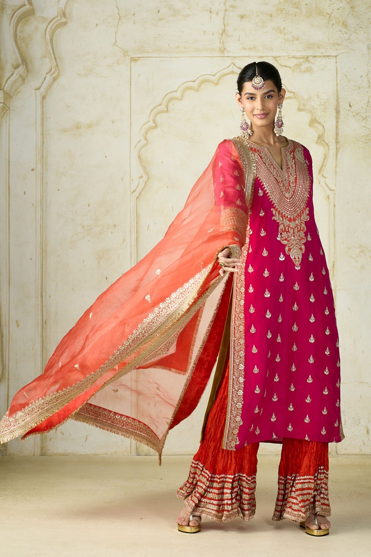 Rani Fitoor Sharara Set