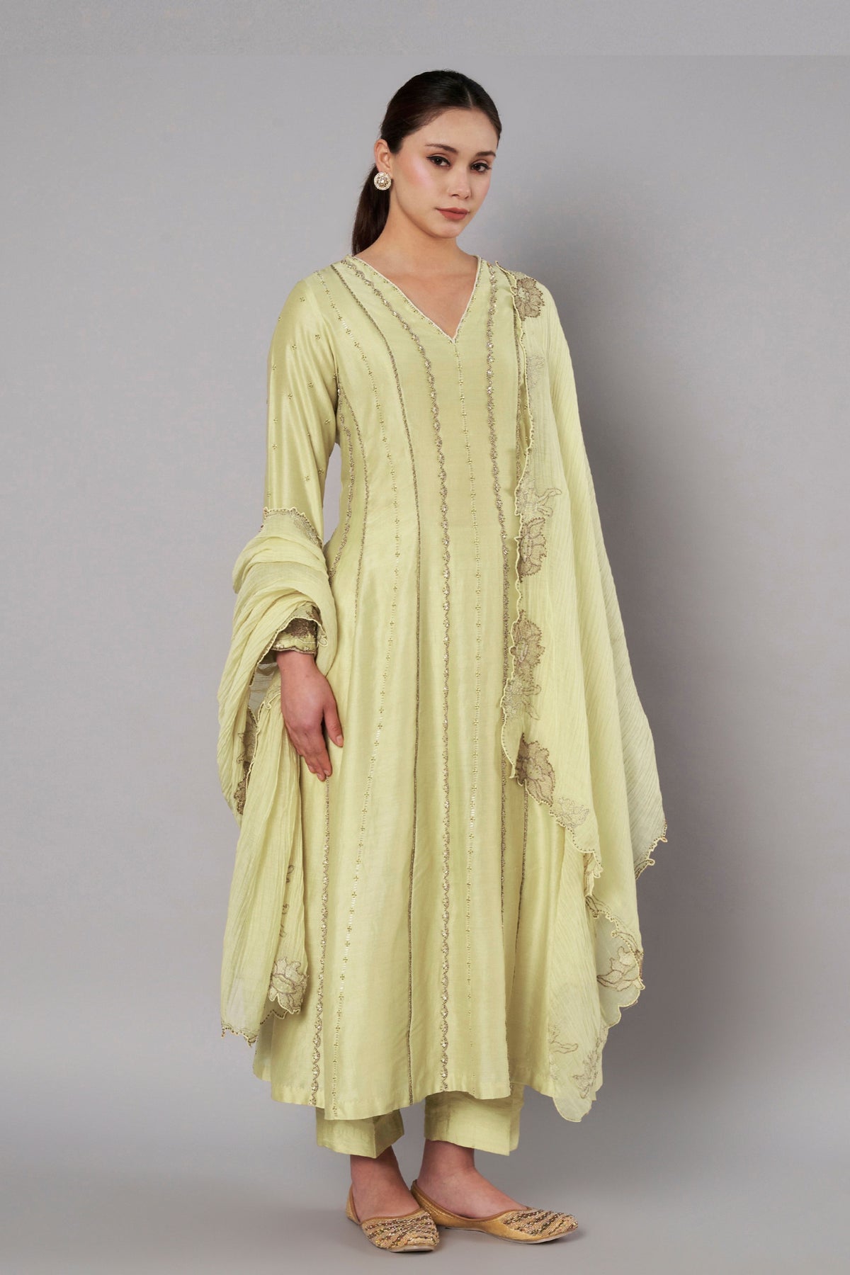 Spring Halo Soft Lime Anarkali Set
