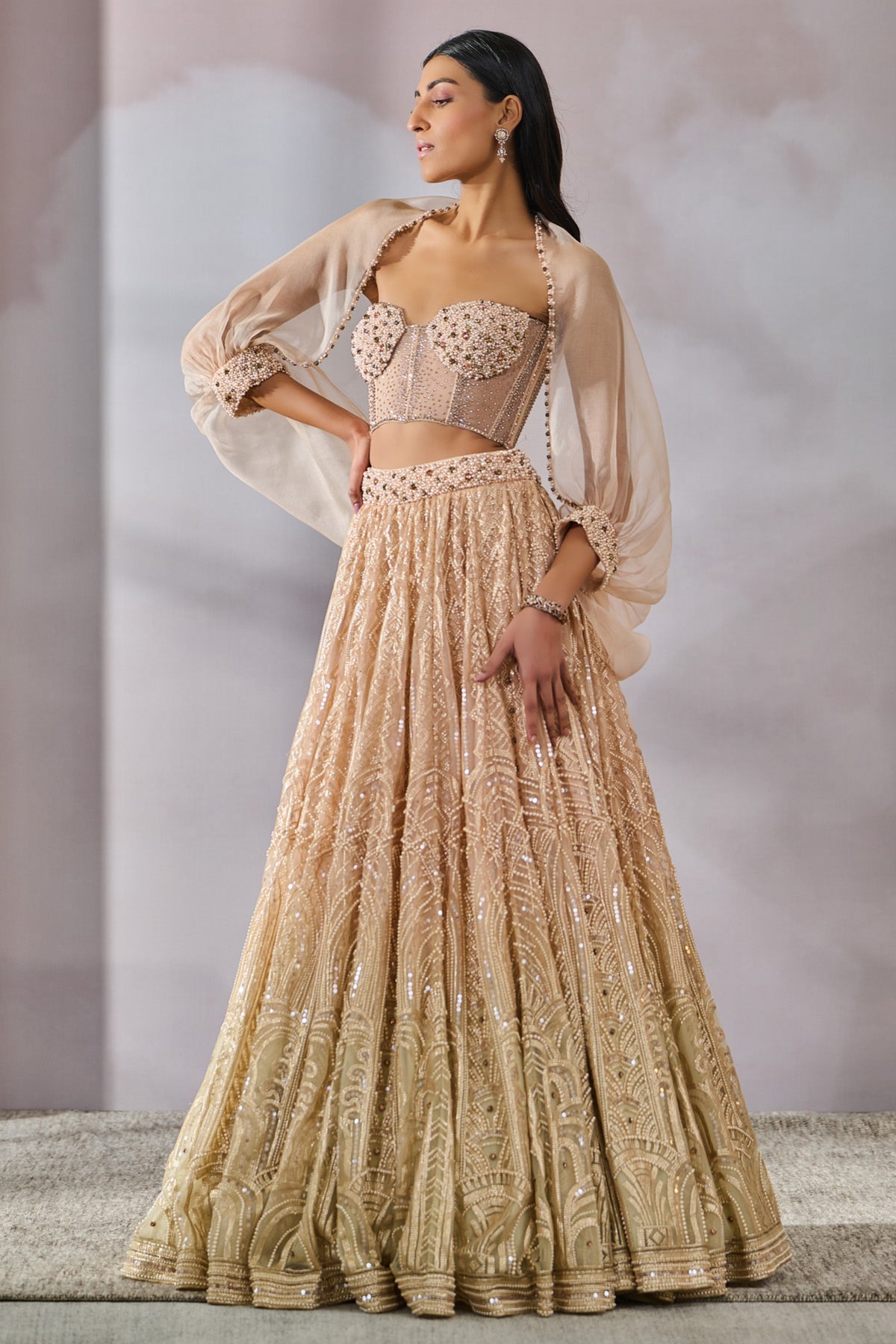 Pearl Embroidered Paneled Lehenga Set