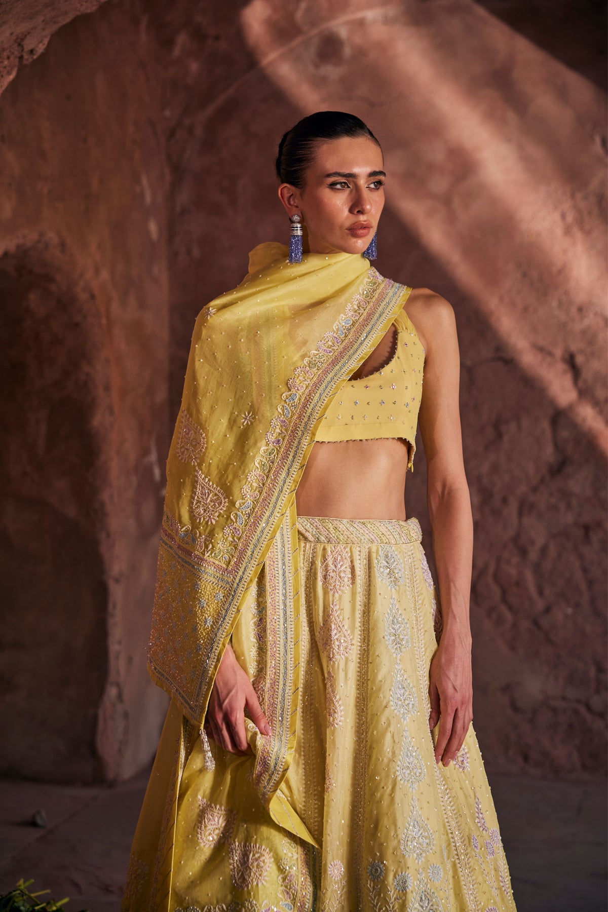 Tara Lehenga Set