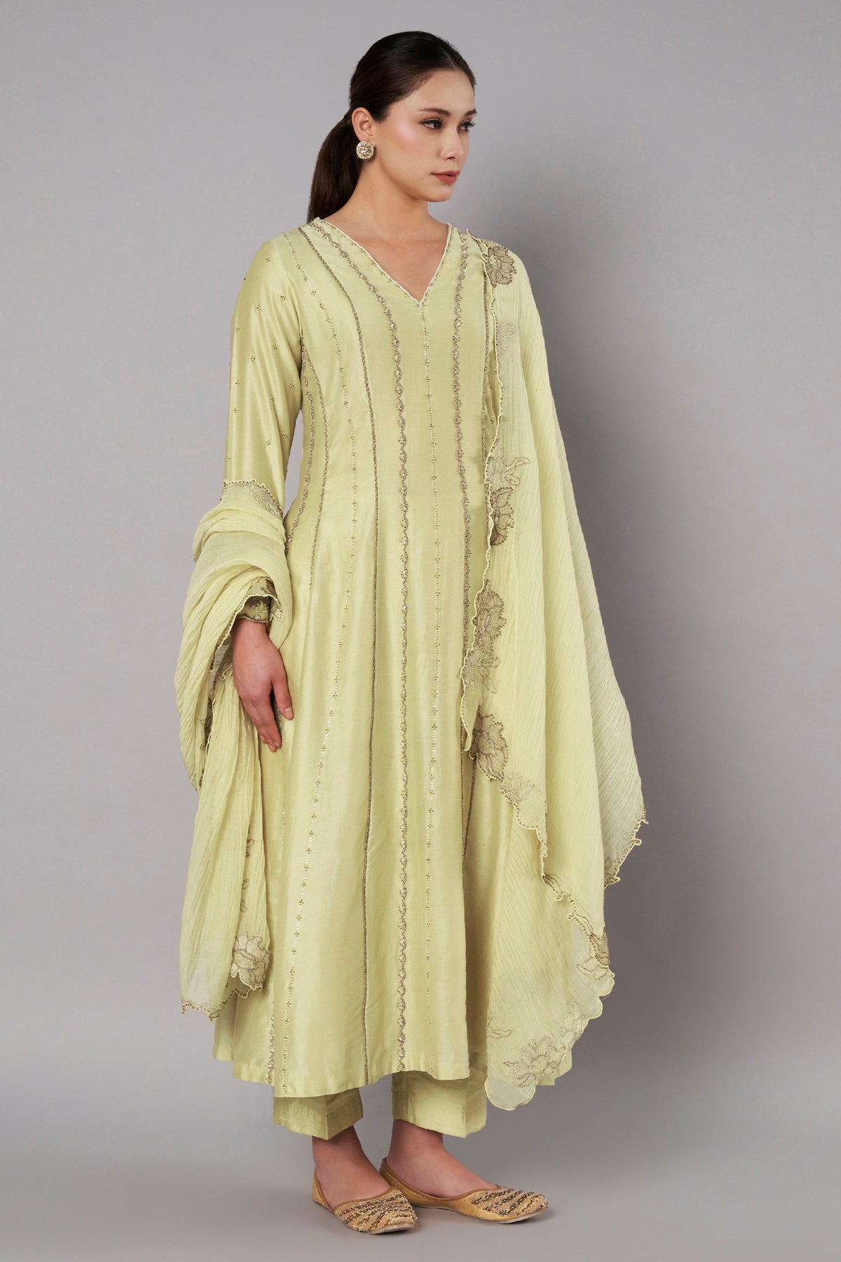 Spring Halo Soft Lime Anarkali Set