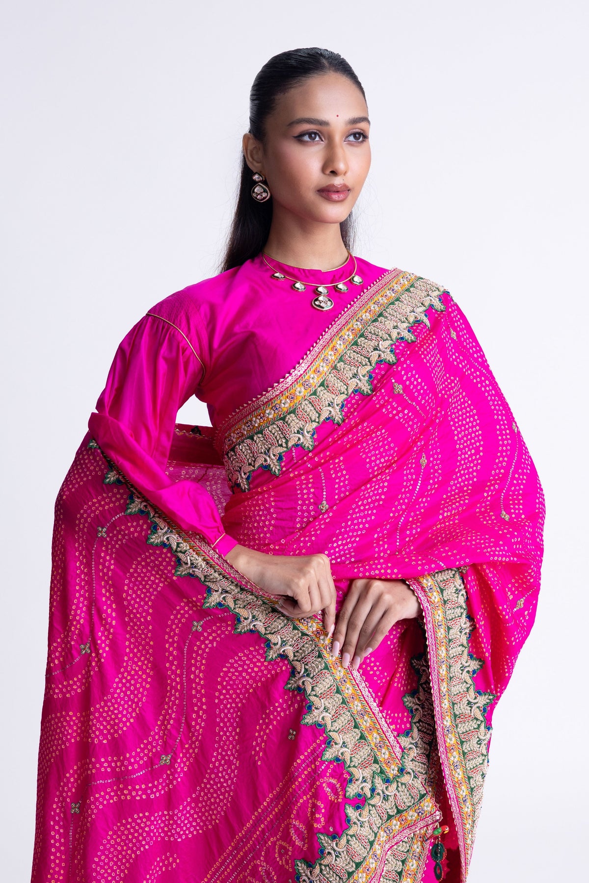 Rani Zardozi Saree