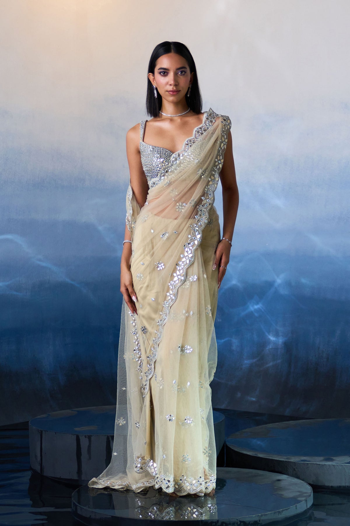 Gold Embroidered Saree Set