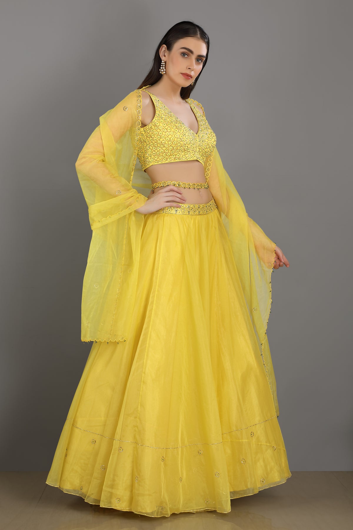 Dopahar embroidered lehenga set