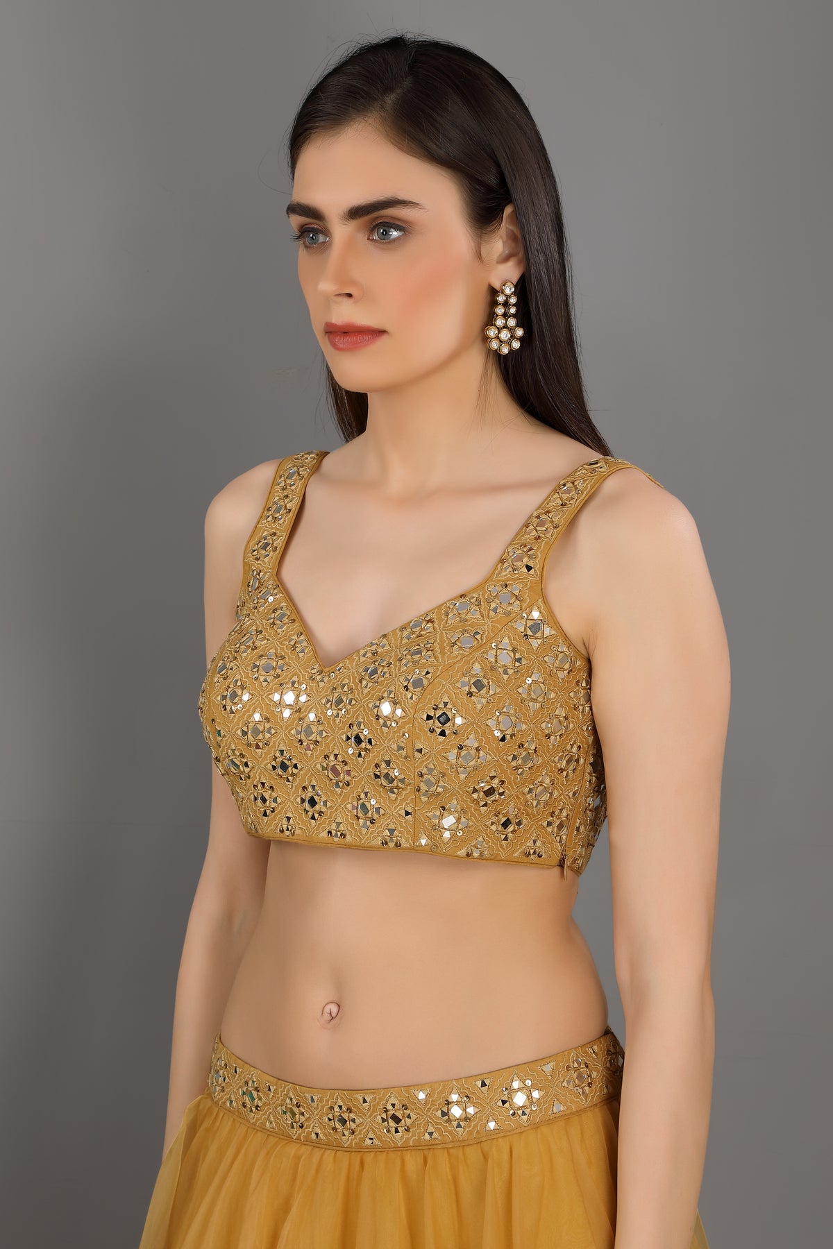 Chamak embroidered lehenga set