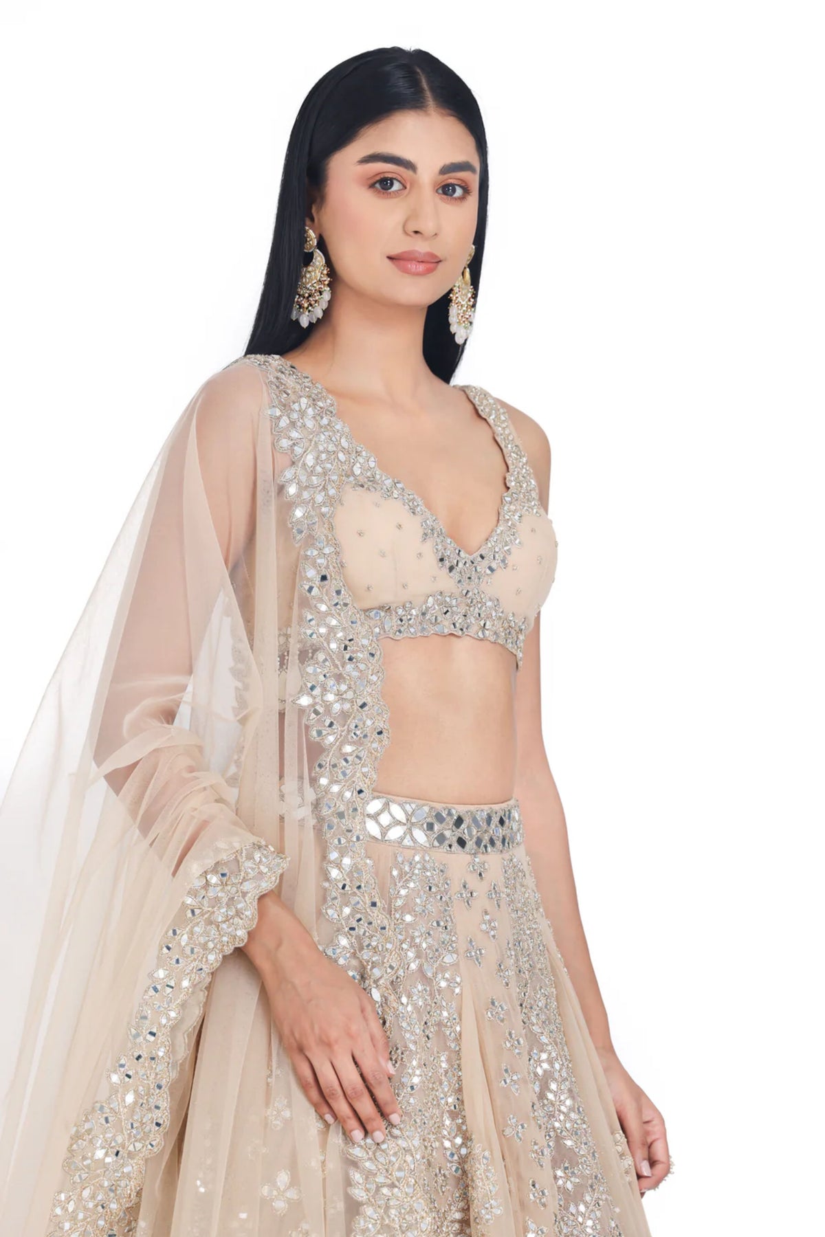 Blush Beige Lehenga Set