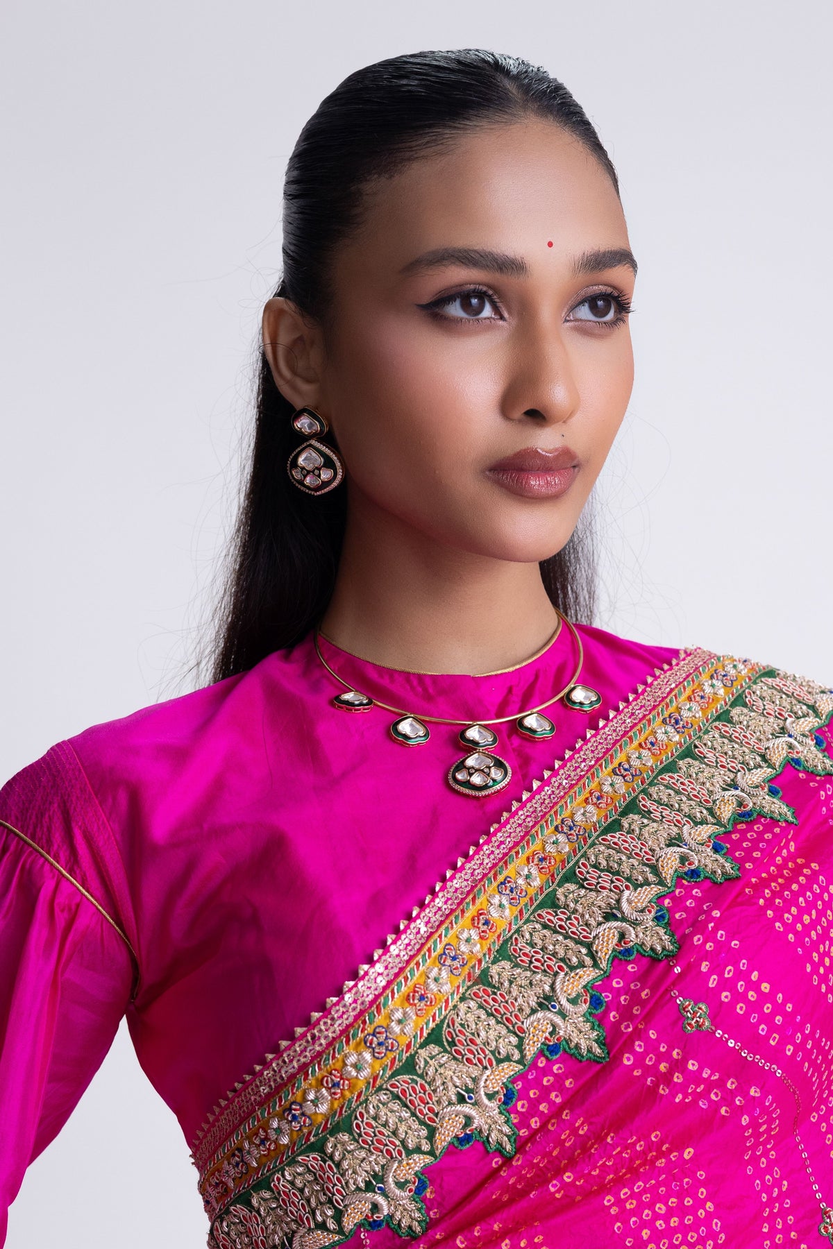 Rani Zardozi Saree