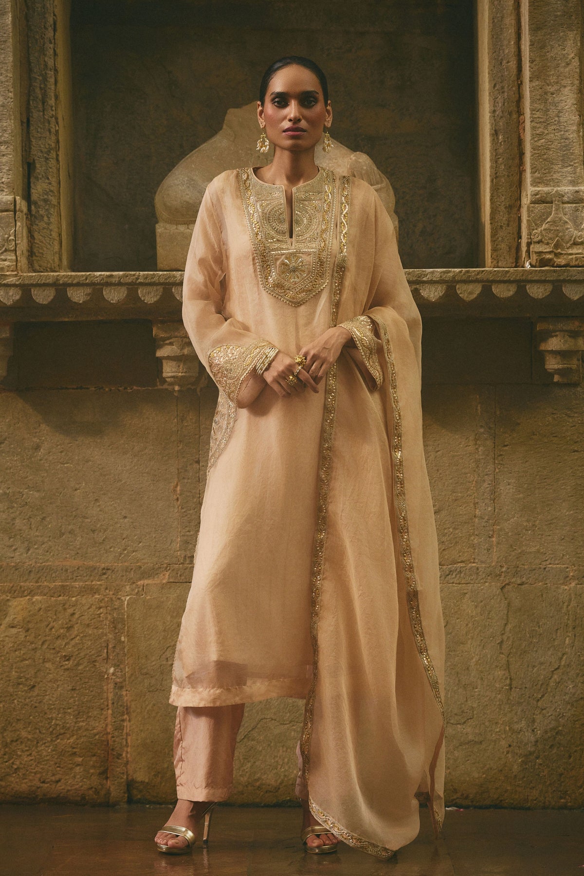Beige Organza Kurta Set