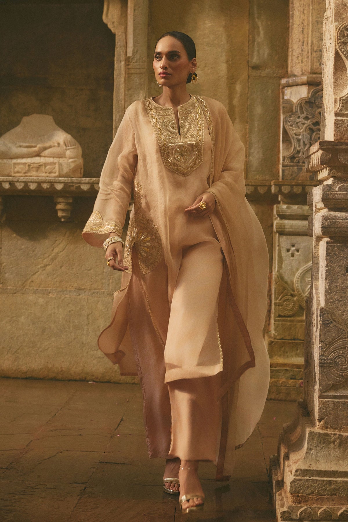 Beige Organza Kurta Set