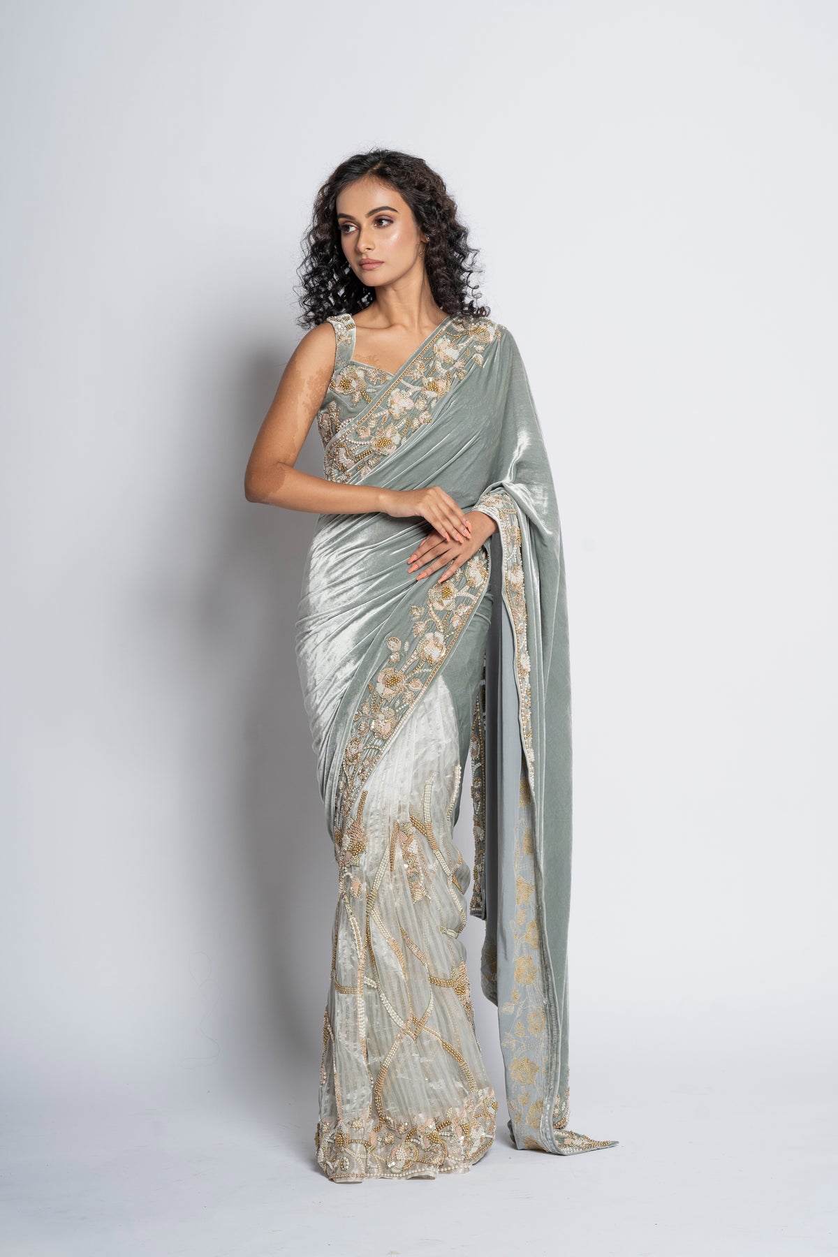 A Stunning Velvet Sheer Saree