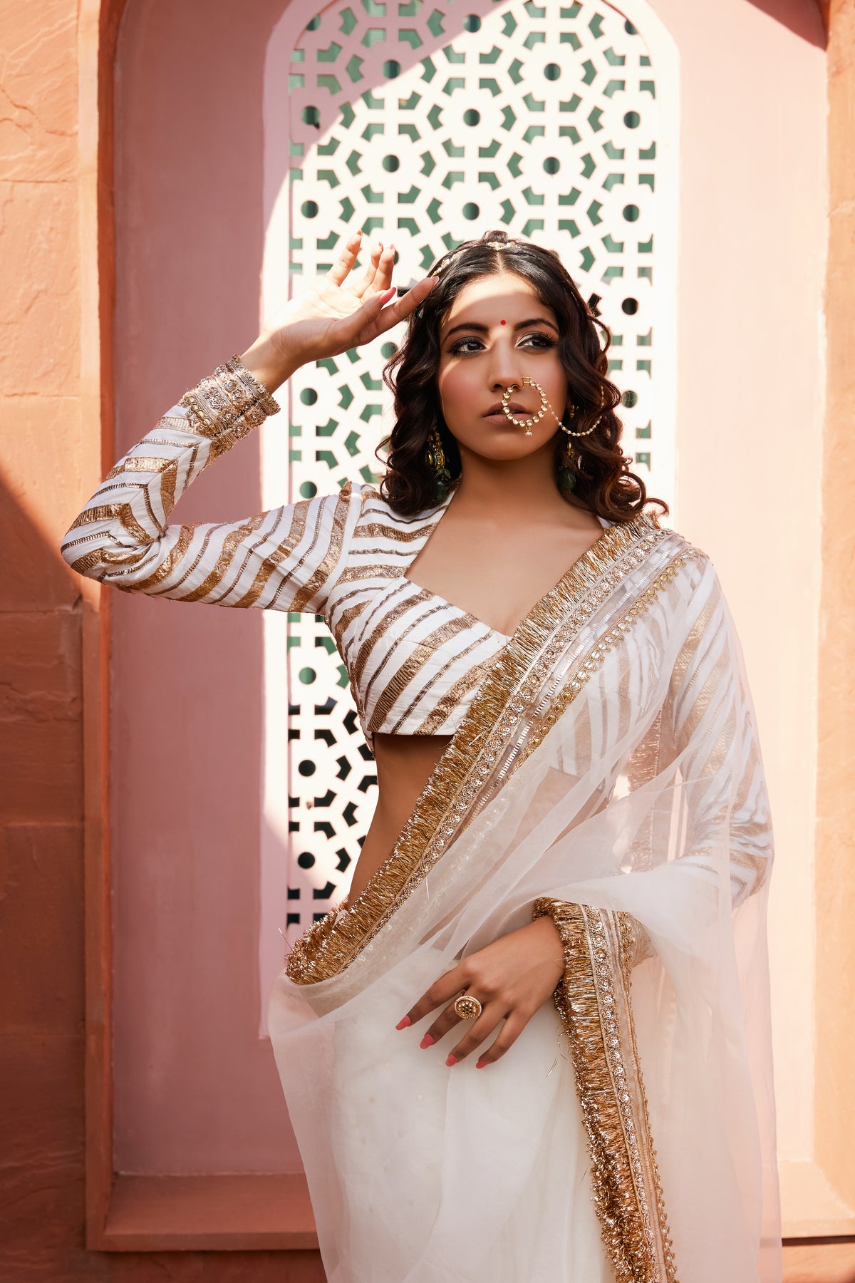 White organza badla saree &amp; blouse