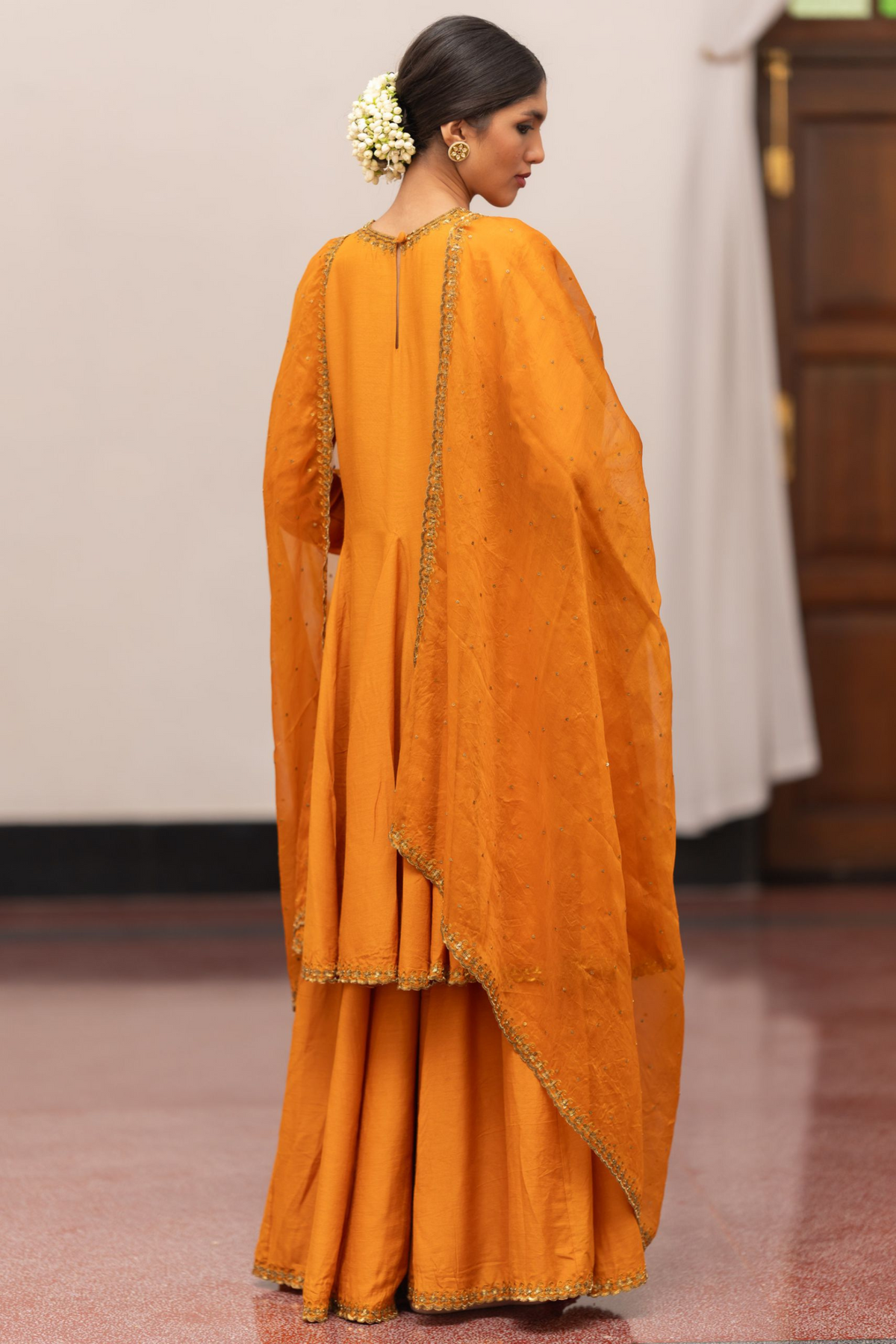 Mira Anarkali Set