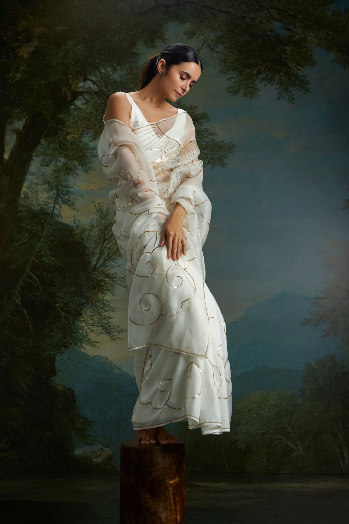 Cumulus Saree