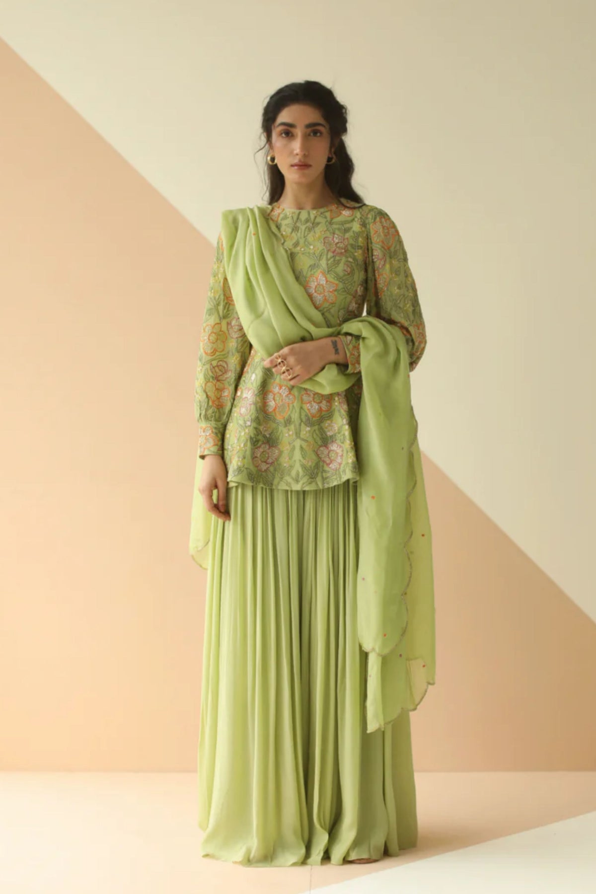 Pista heavy jaal  peplum sharara
