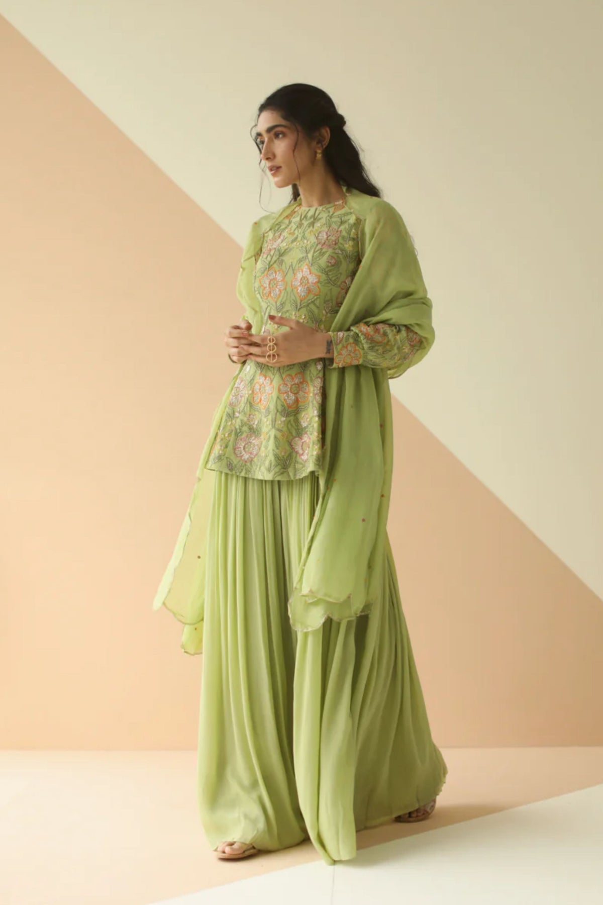 Pista heavy jaal  peplum sharara