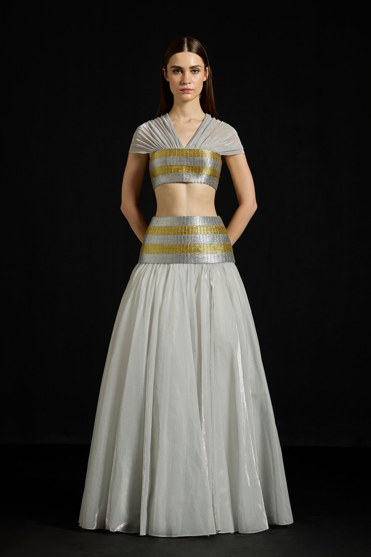 Zari Striped Metallic Ensemble