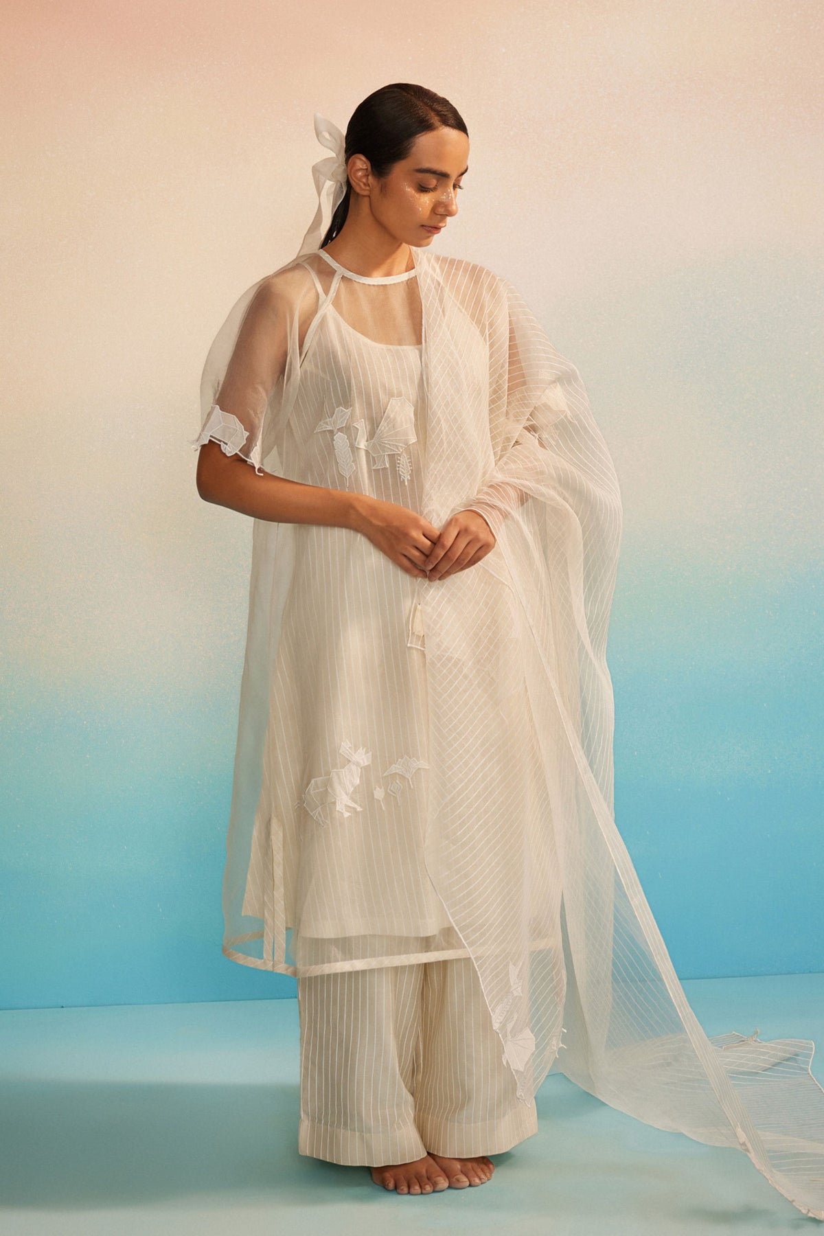 Kessho Organza Appliqué Dupatta
