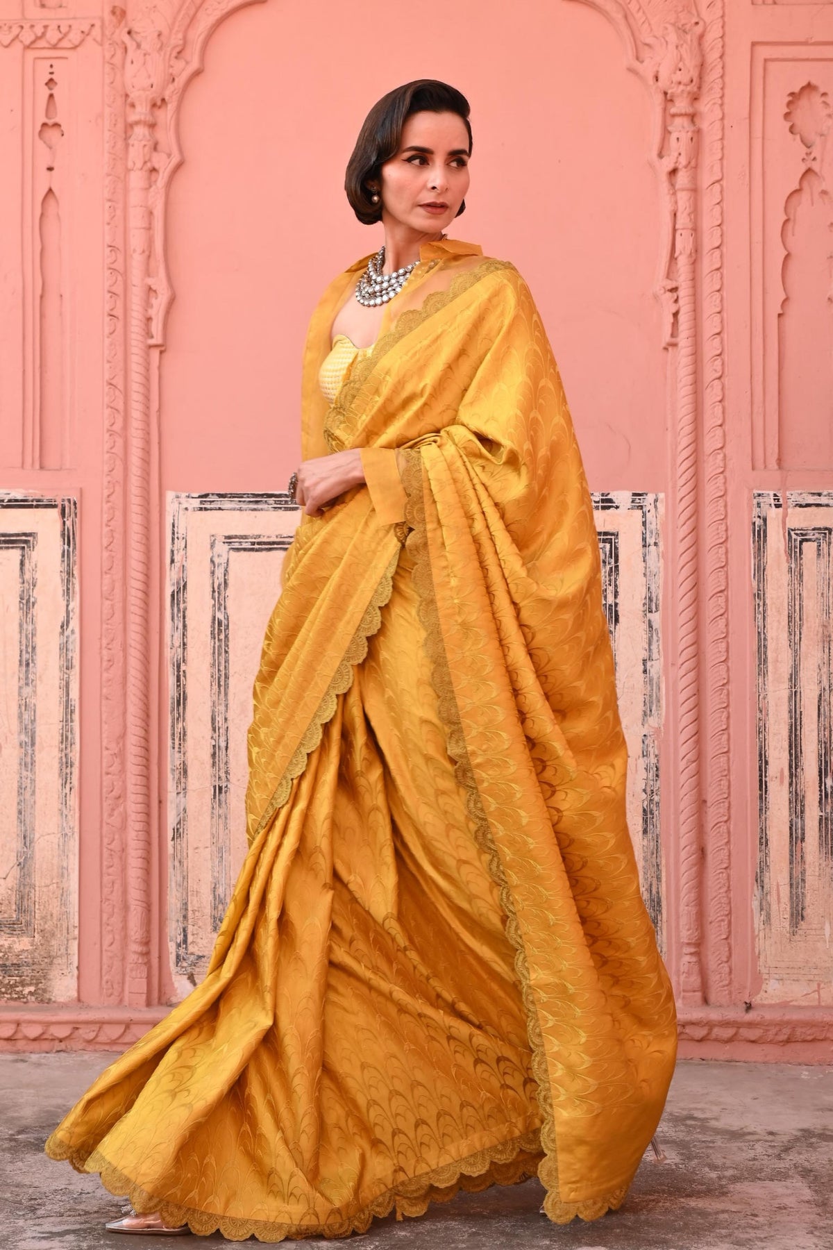 Tanchoi Handloom Saree